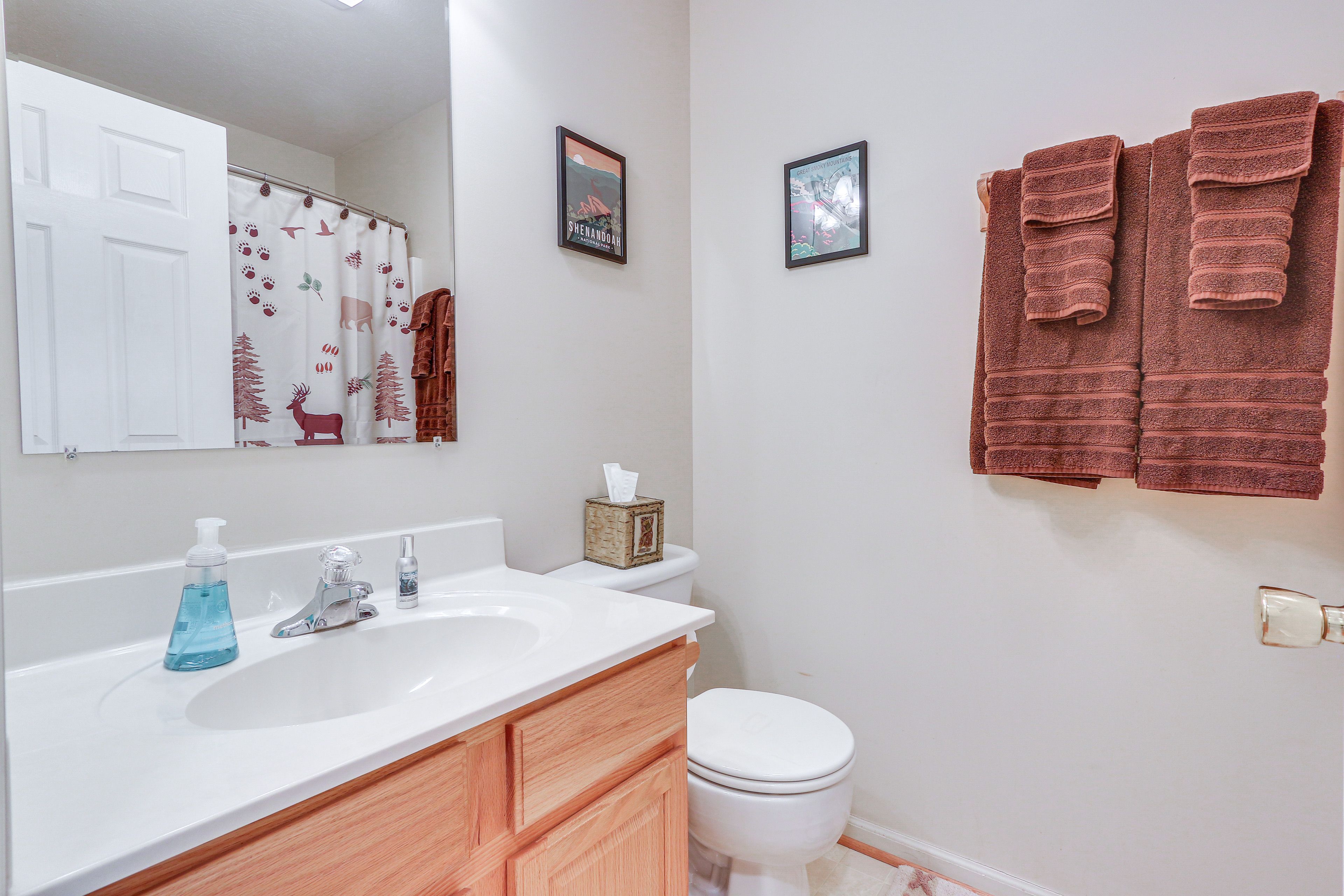 Bathroom | Hair Dryer
