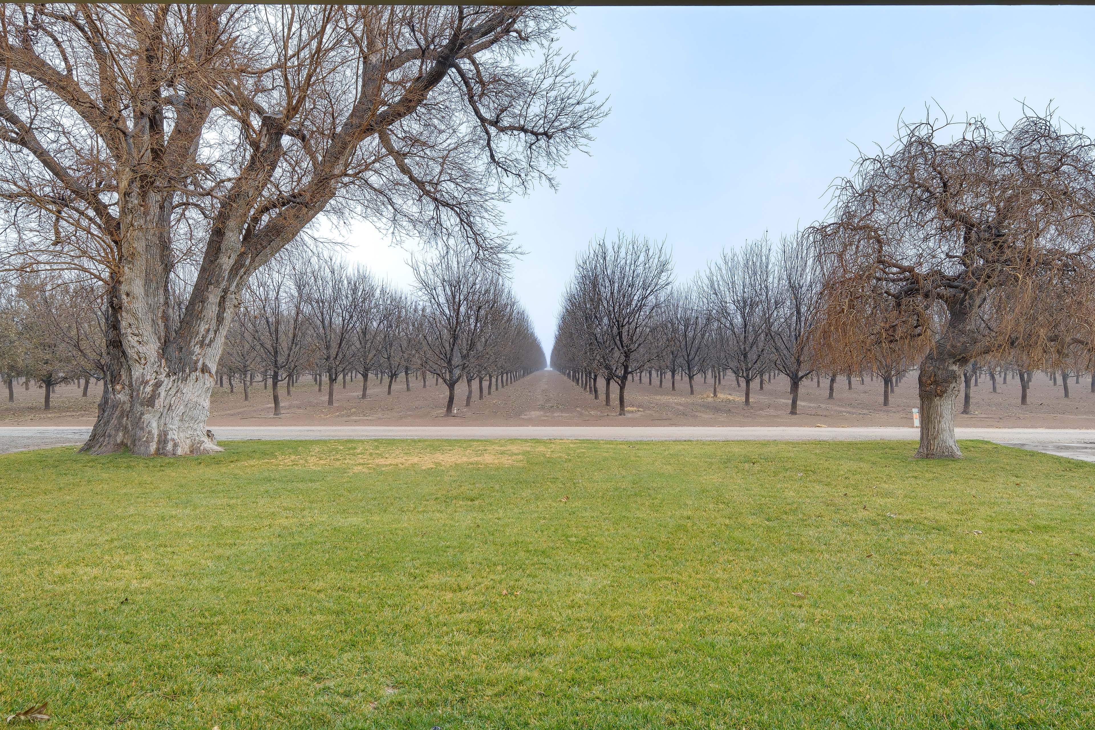 Orchard Views