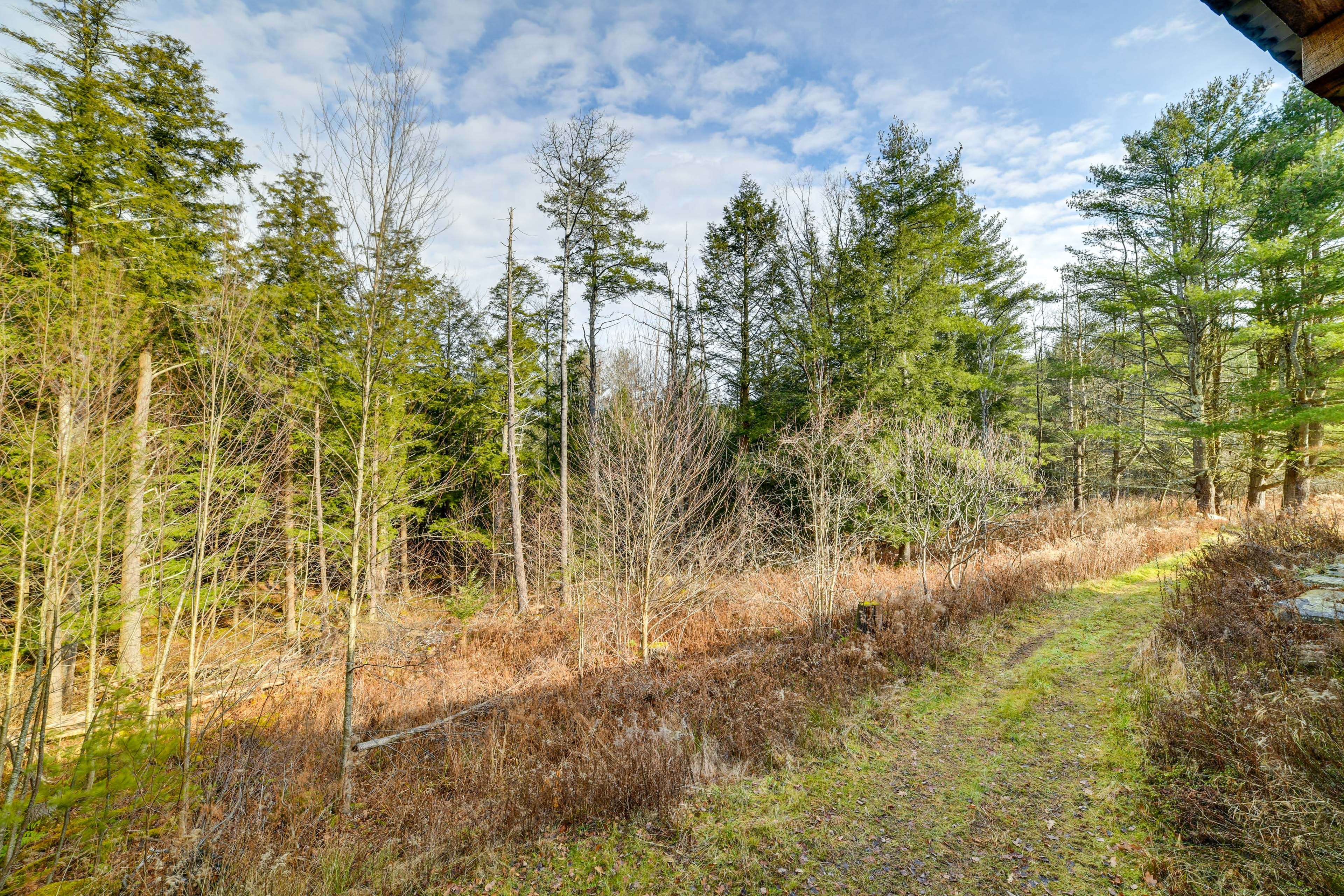 Surrounding Area