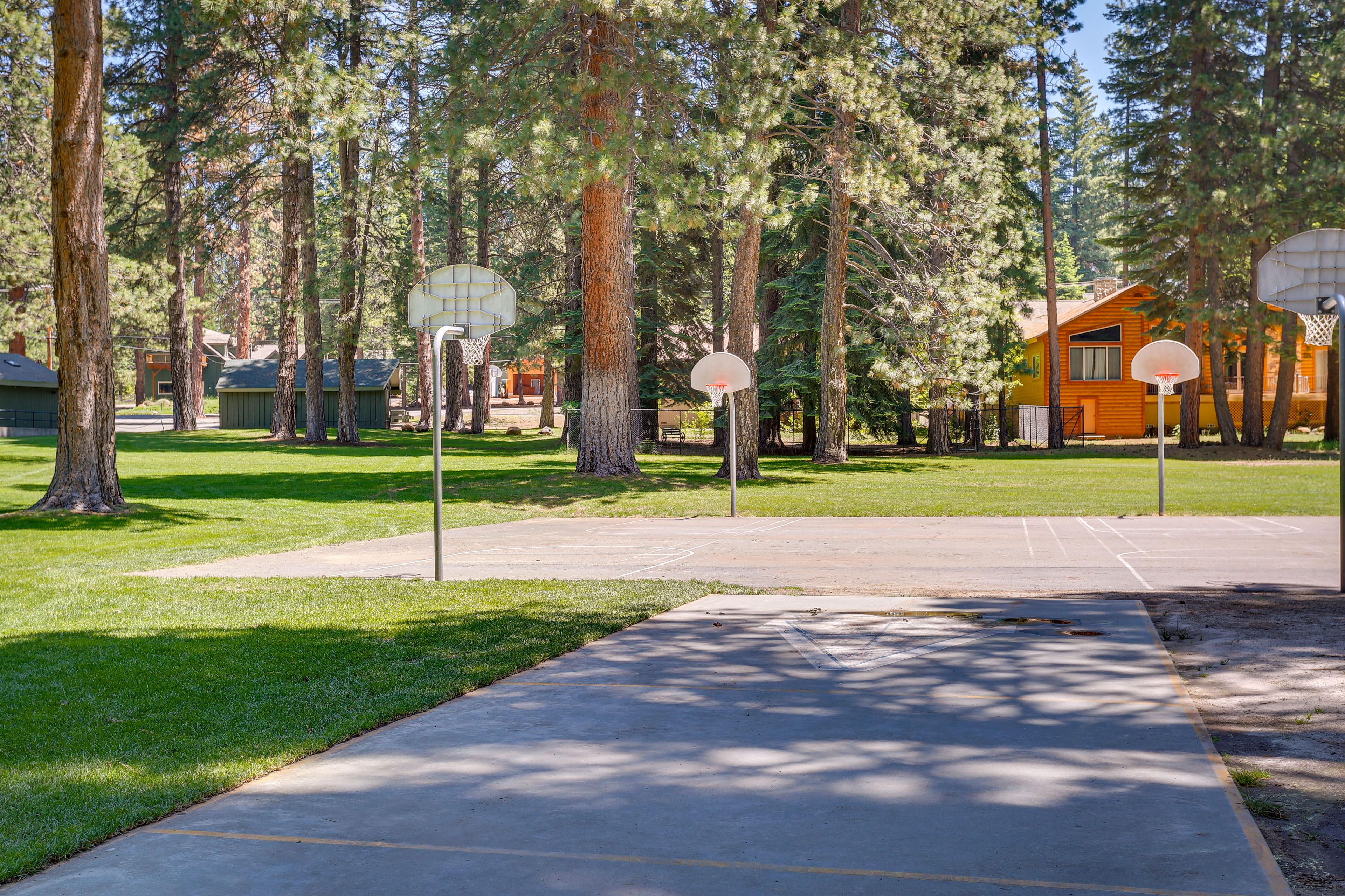 Basketball Courts