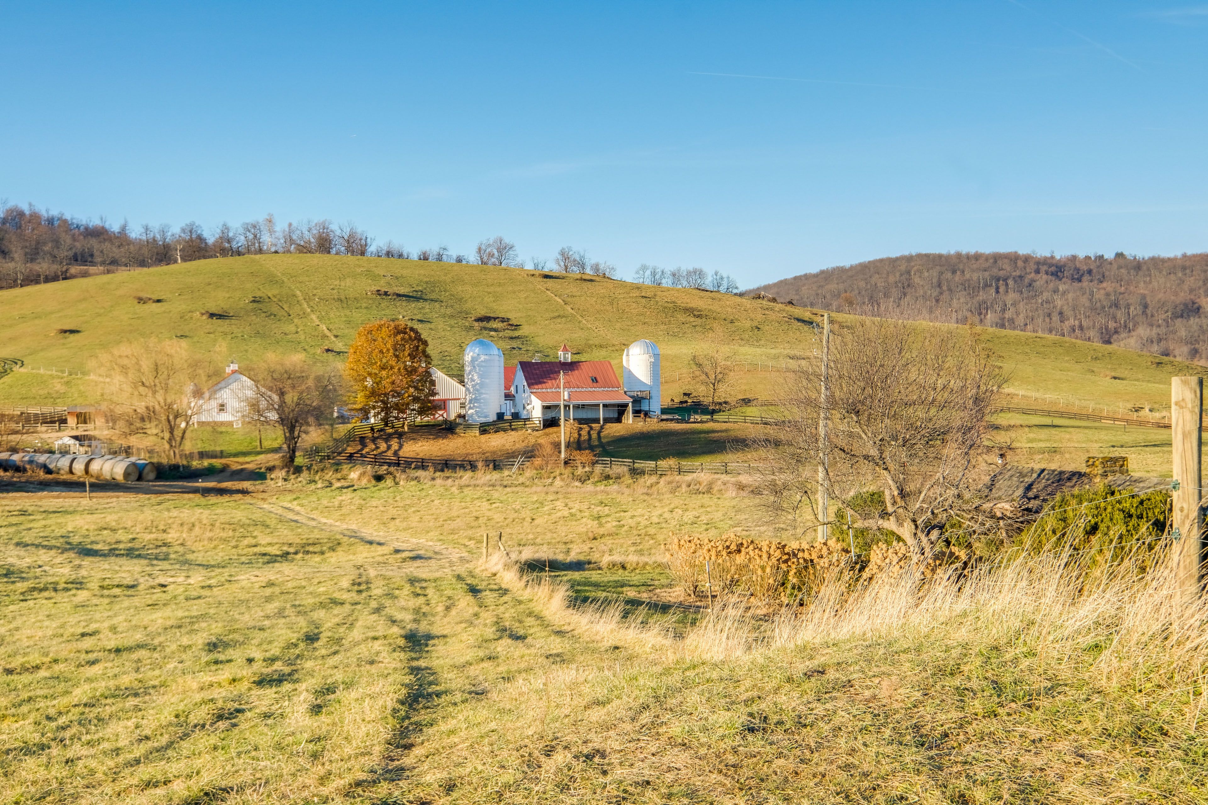Farm On-Site