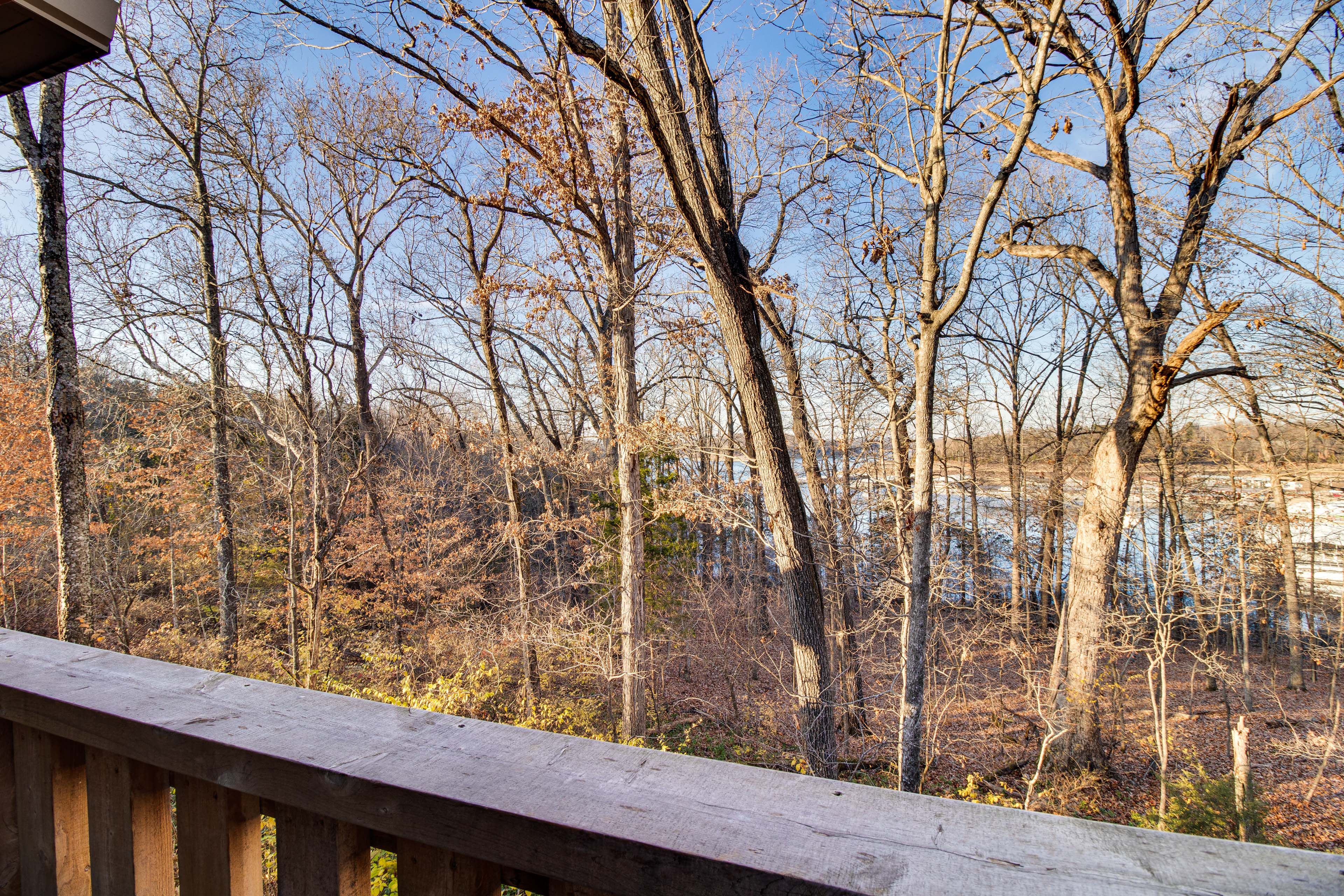 Bull Shoals Lake Views