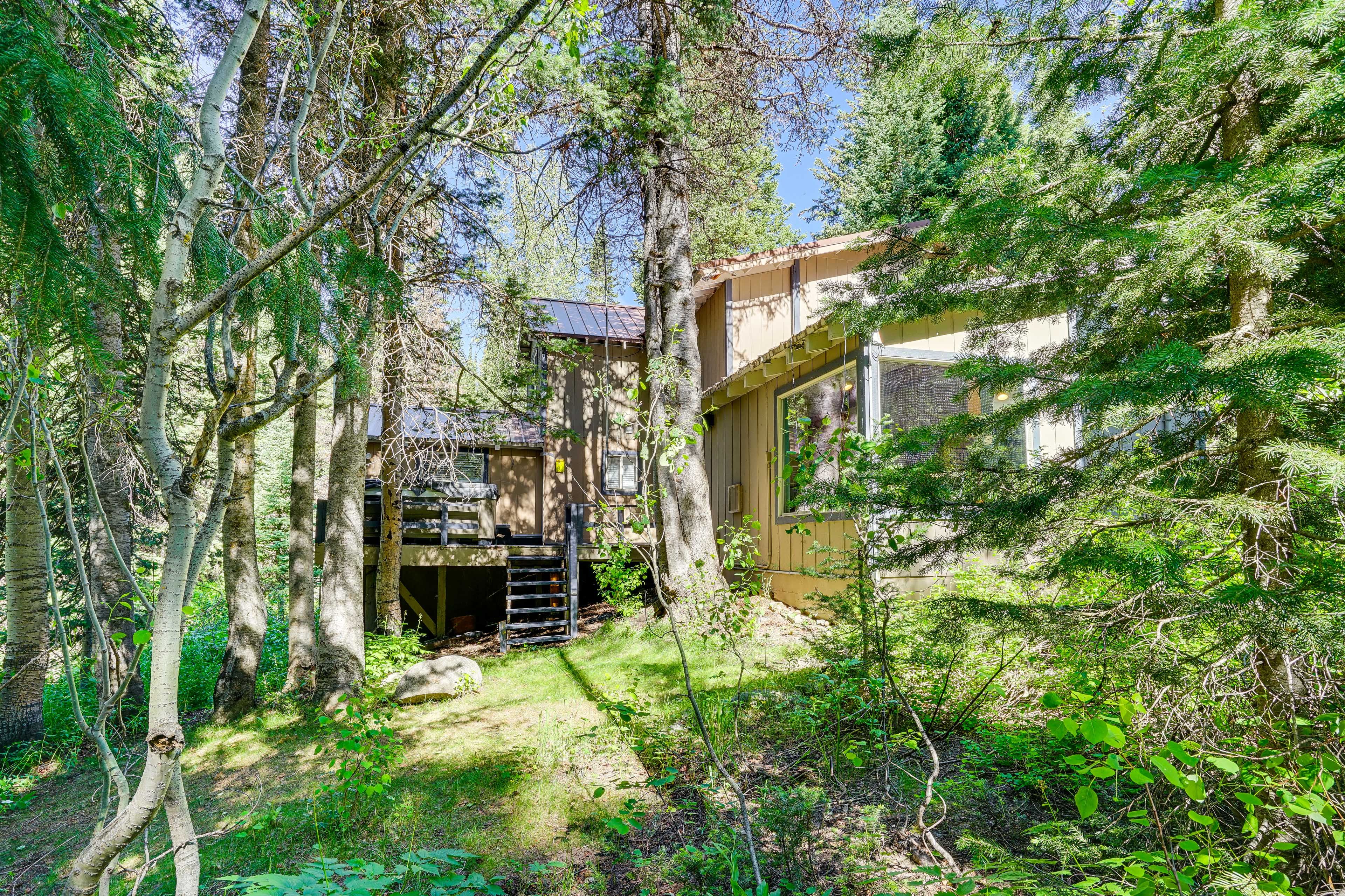 Exterior | Private Yard | Hammock | On-Site River