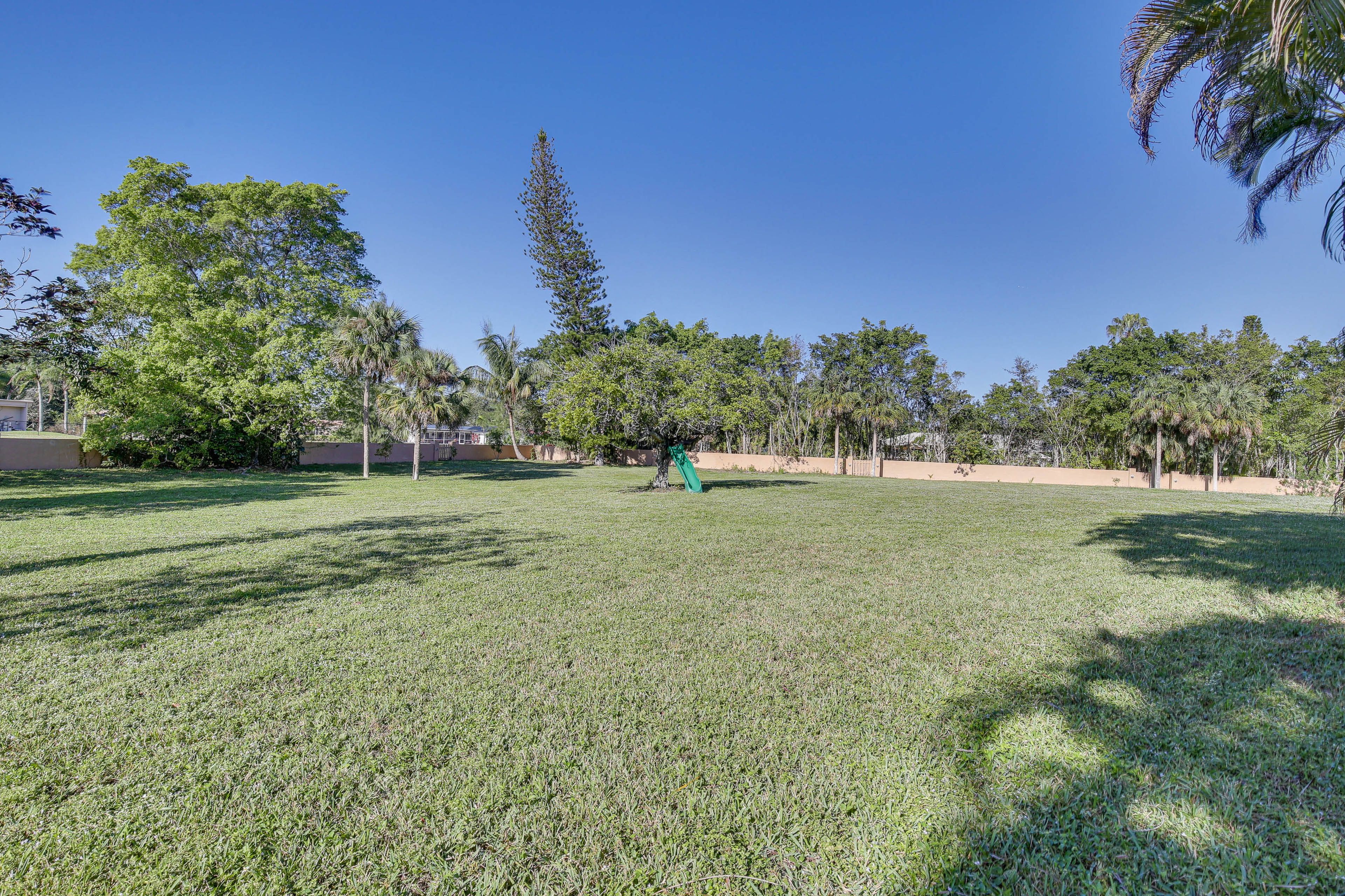 Yard w/ Slide