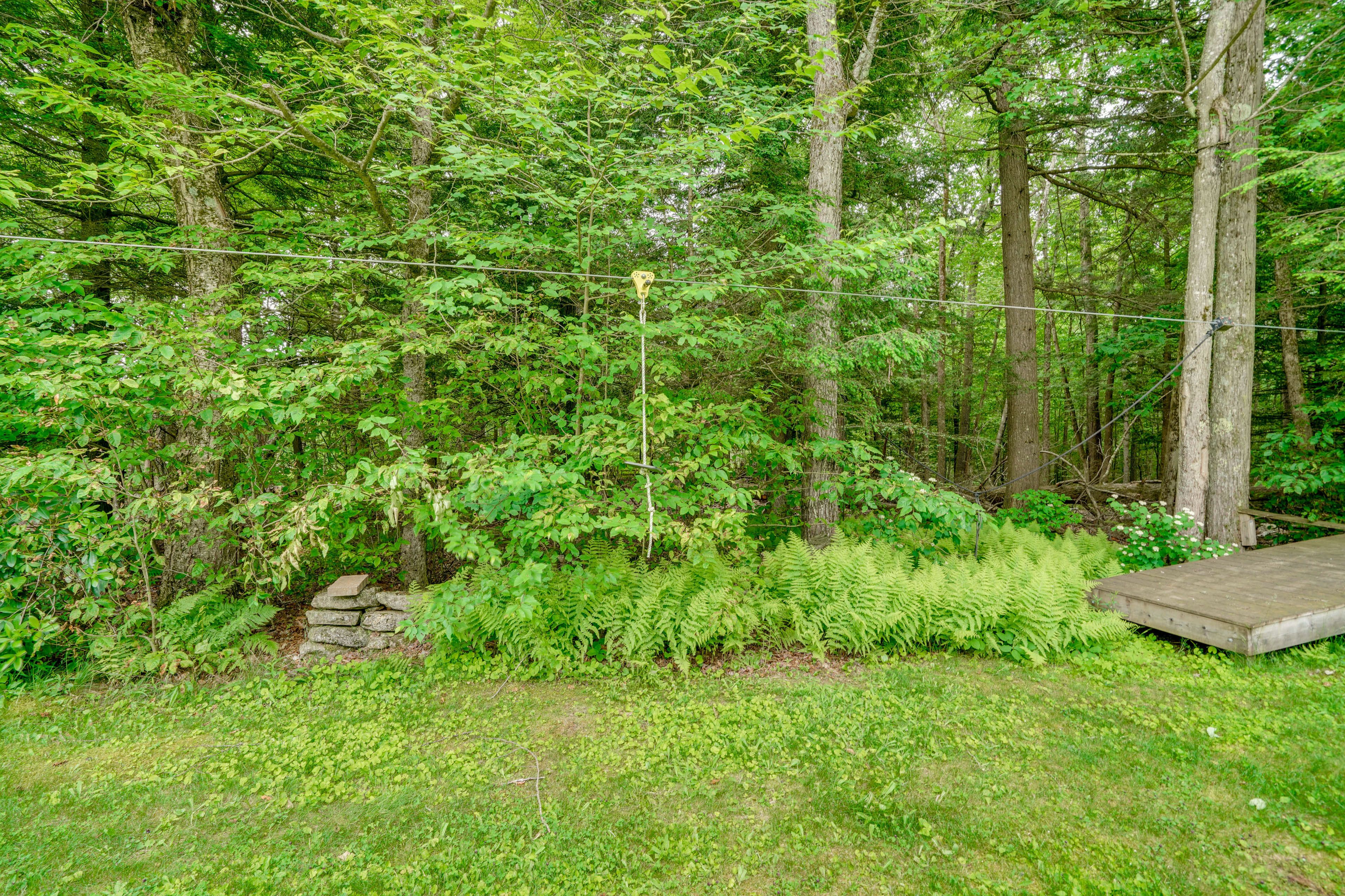 Image 42