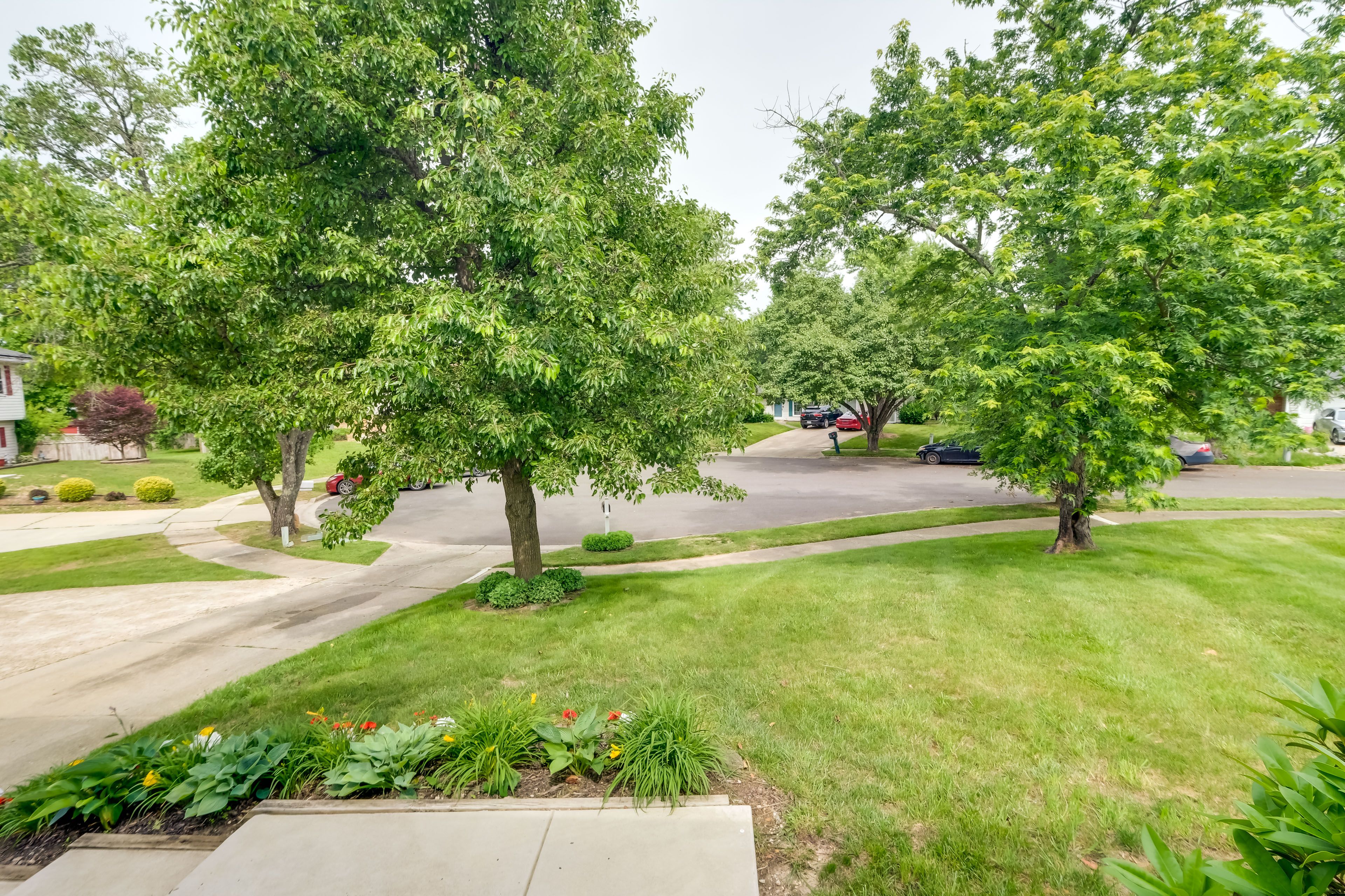 Front Yard