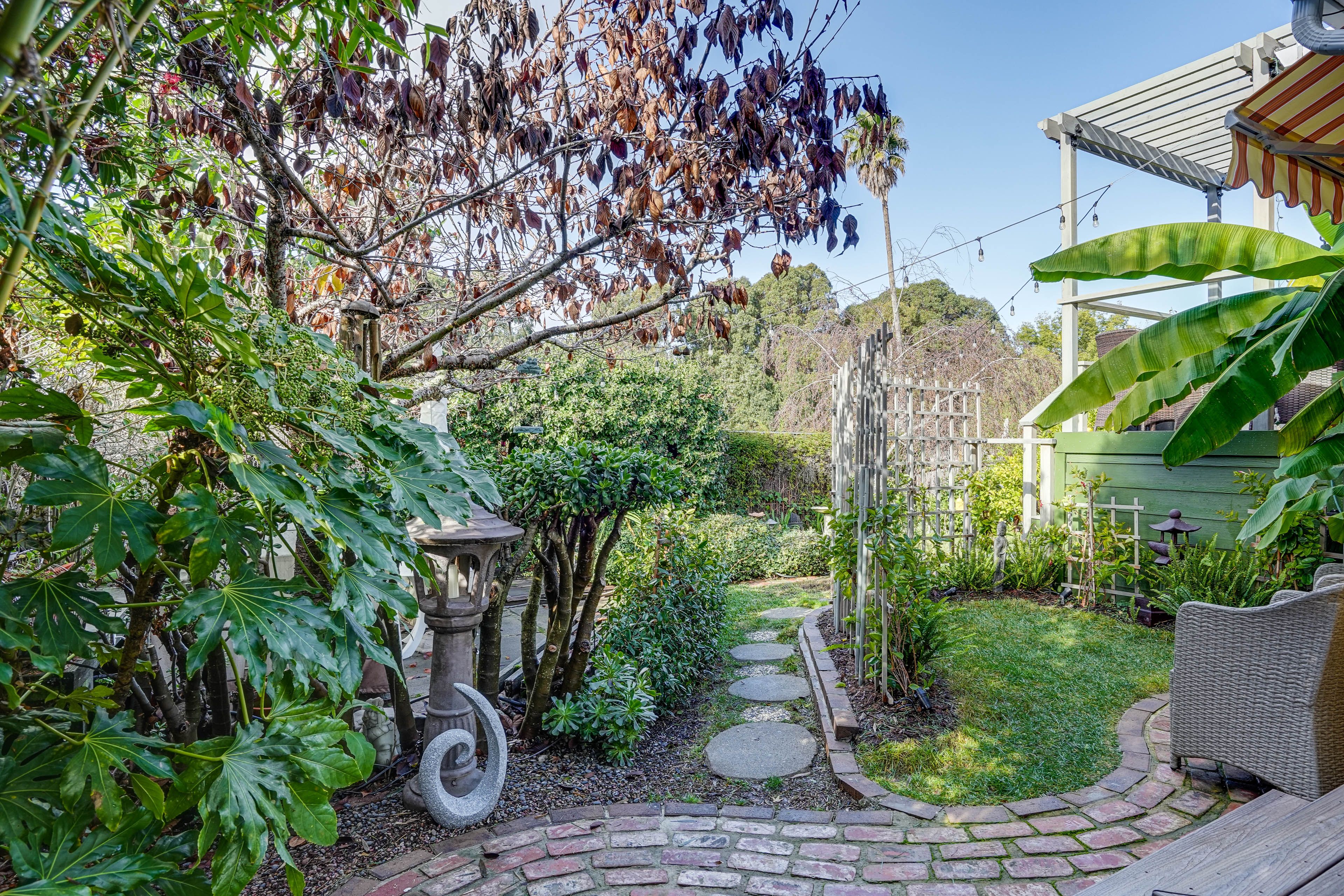 Shared Backyard