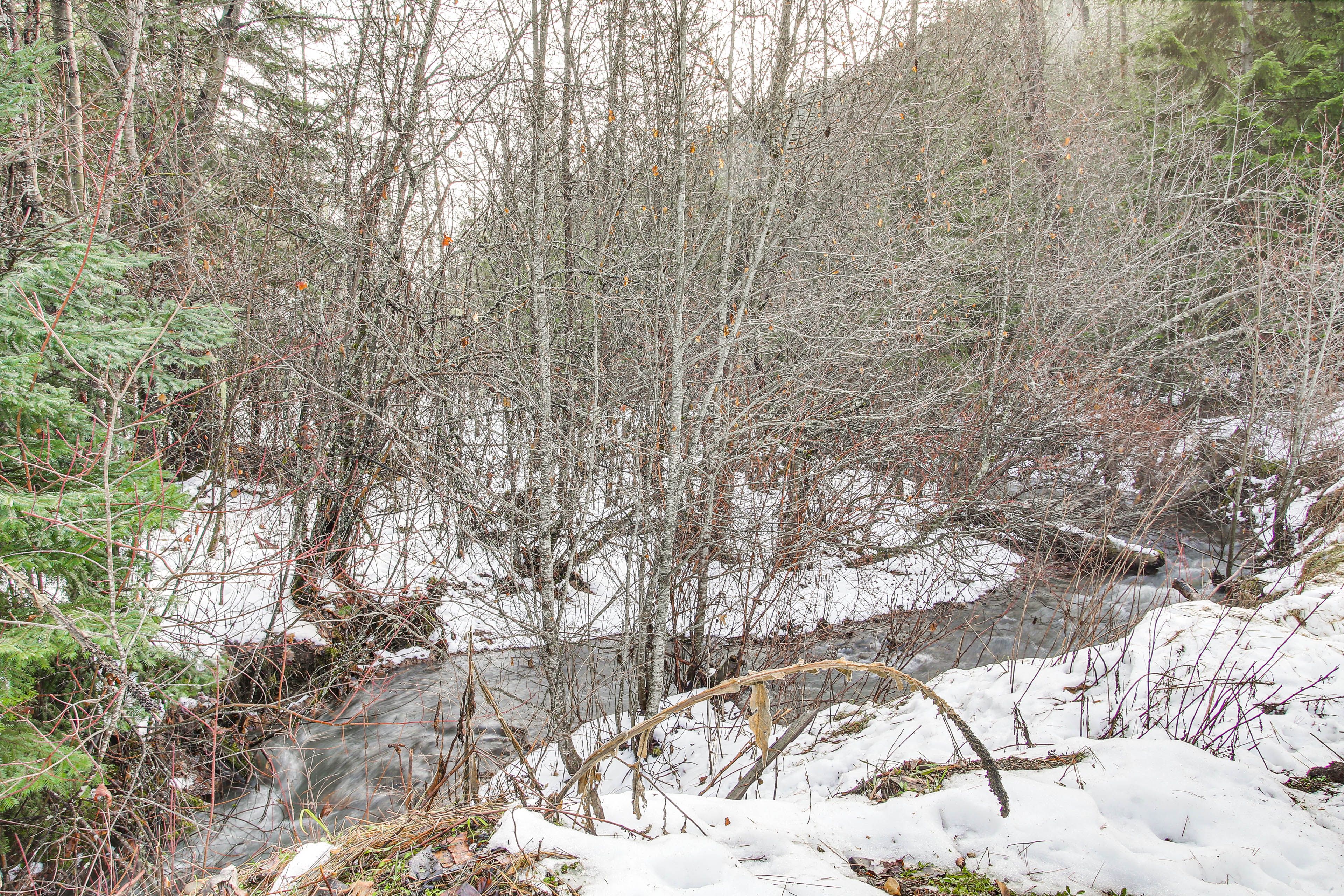 Creek On-Site