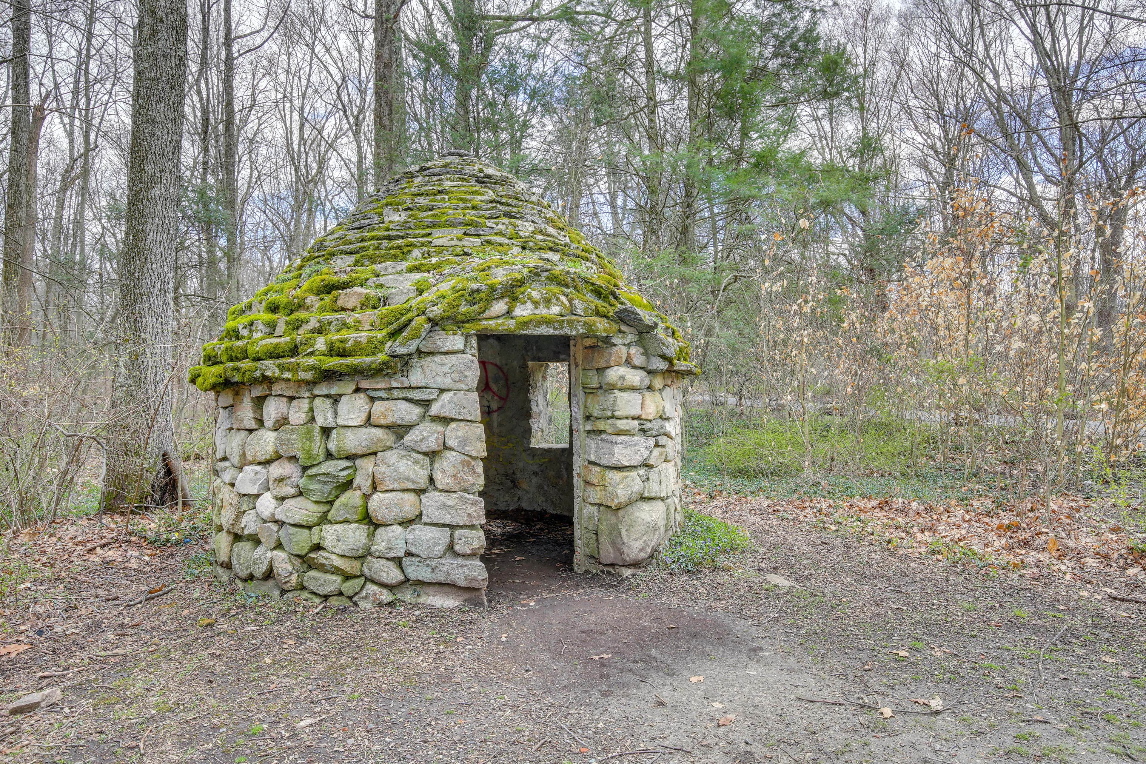 Image 29