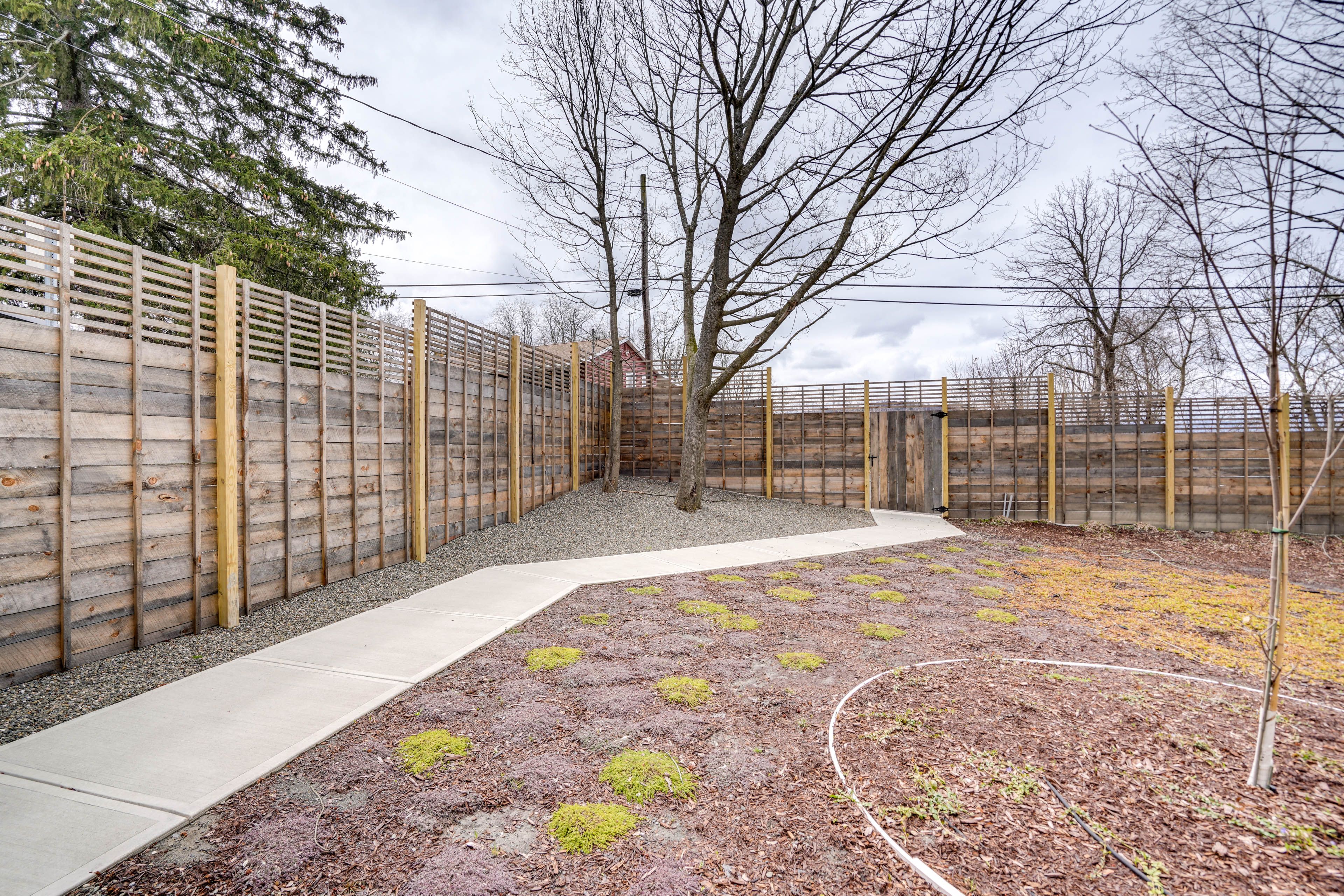 Shared Backyard