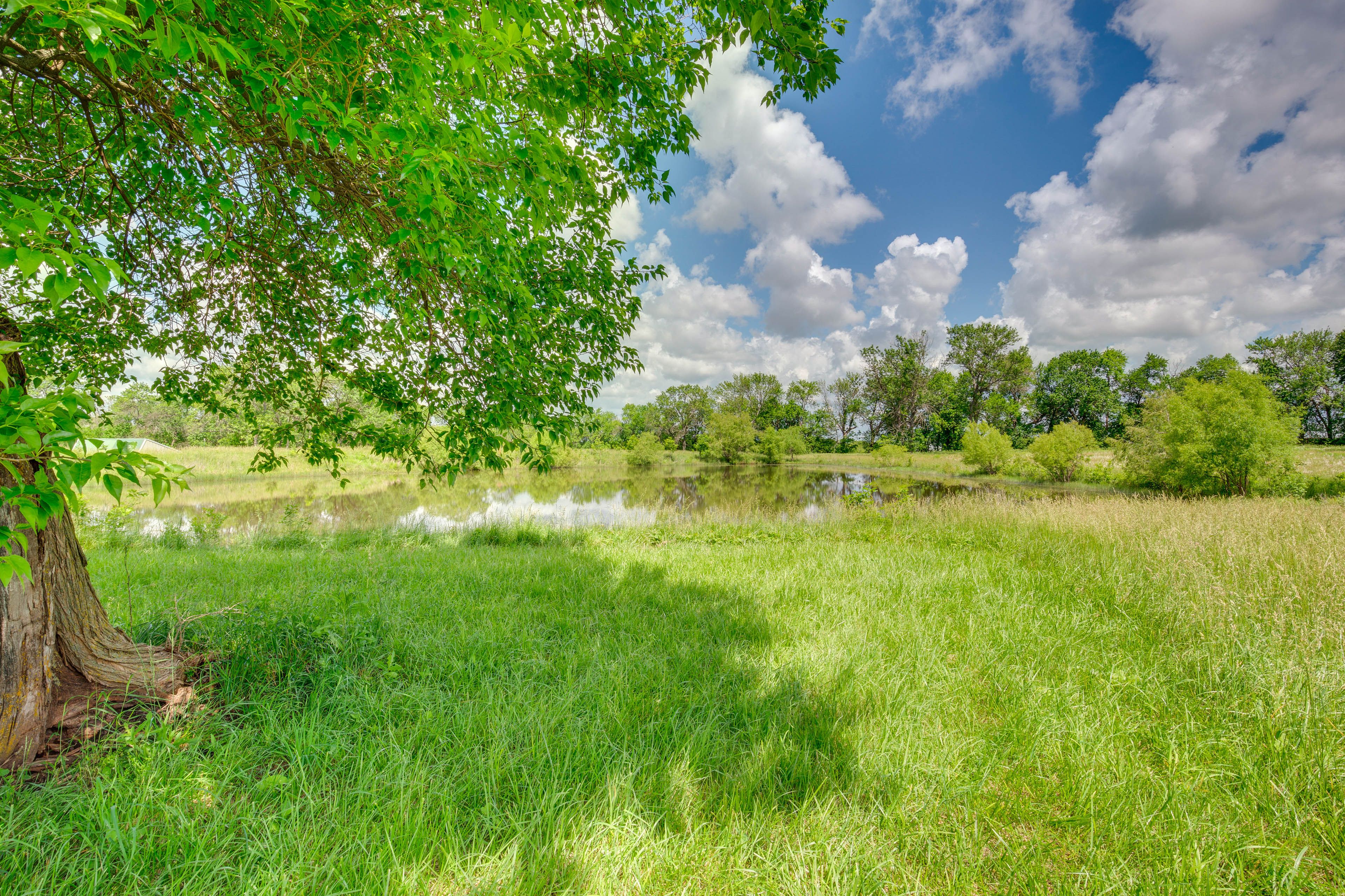 Pond & Farm Animals On-Site