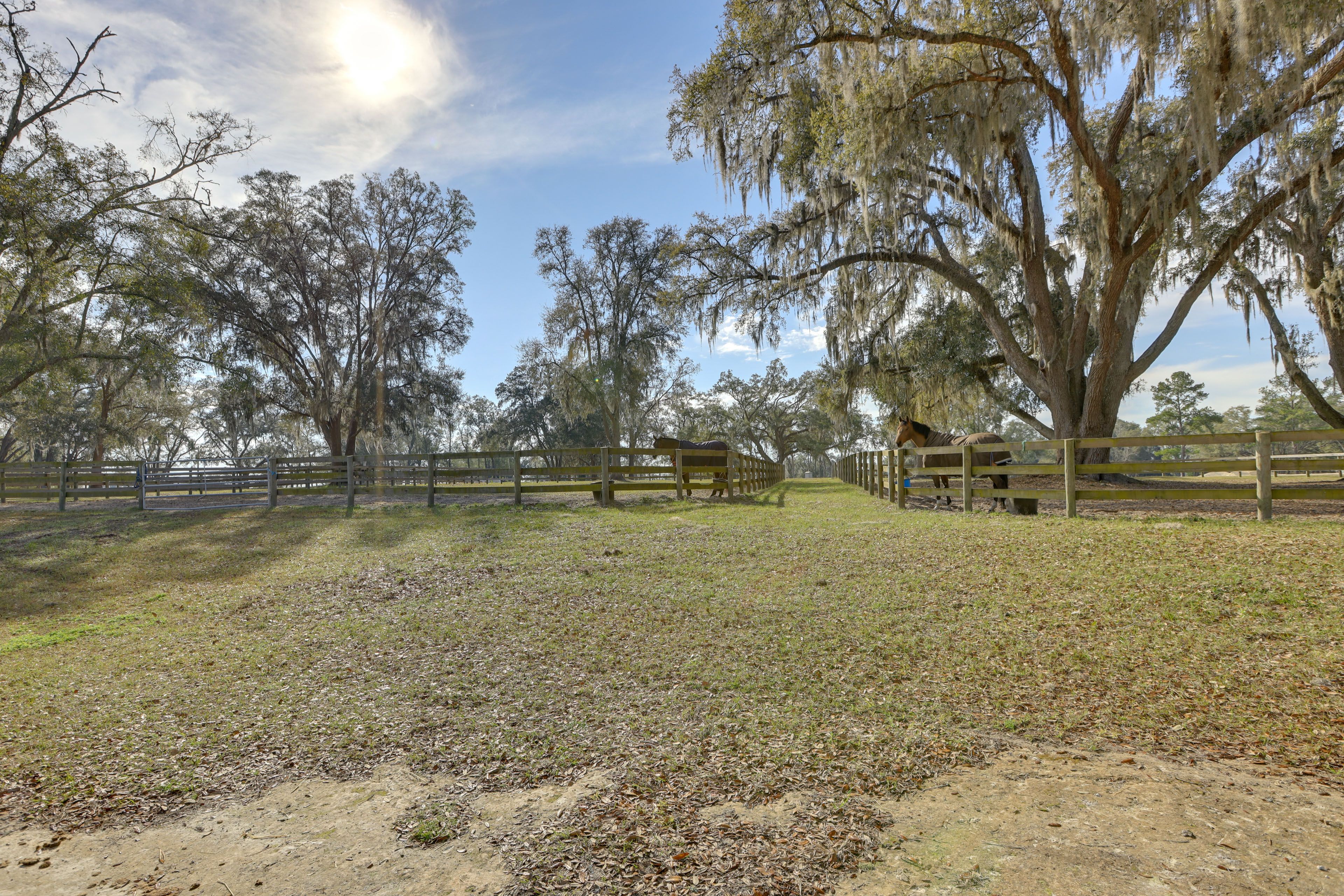 Horses On-Site | Near World Equestrian Center