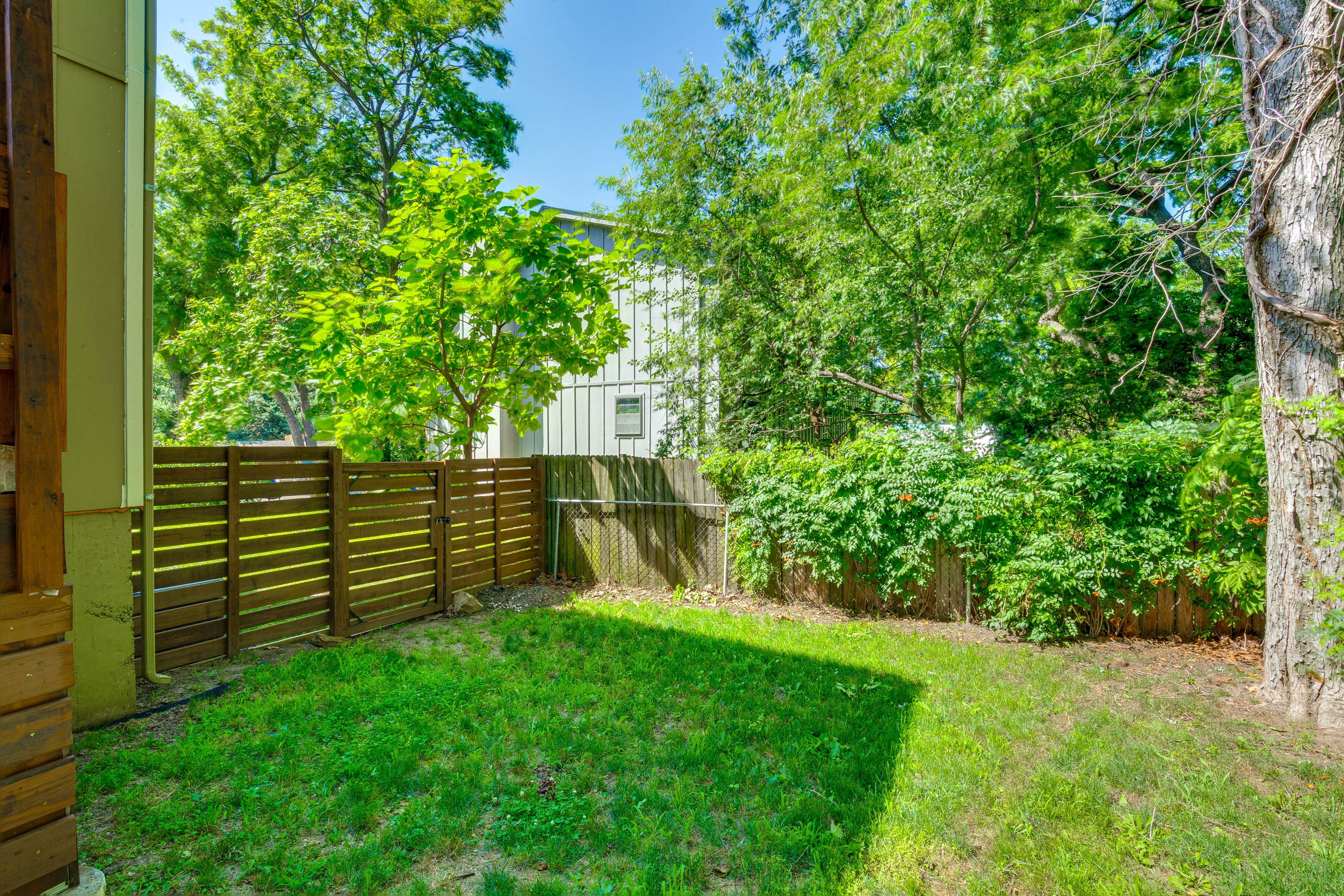Fenced Yard