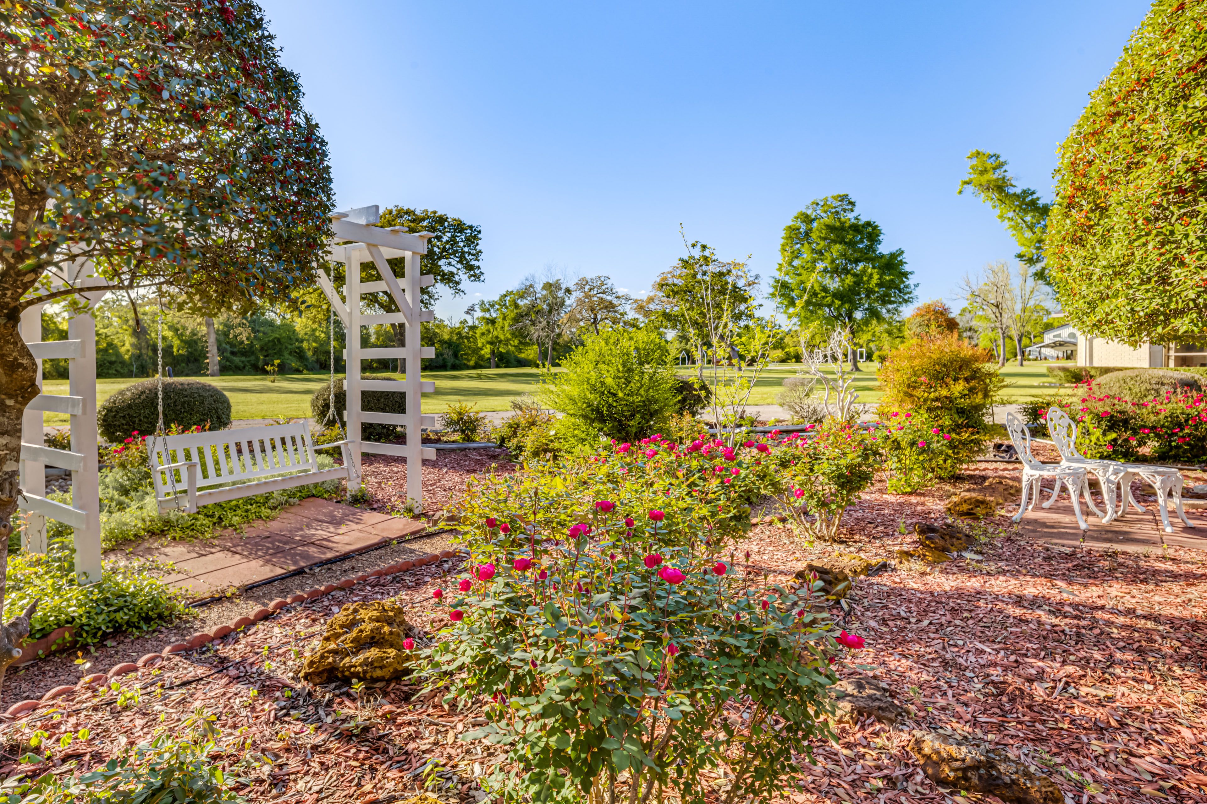 Rose Garden