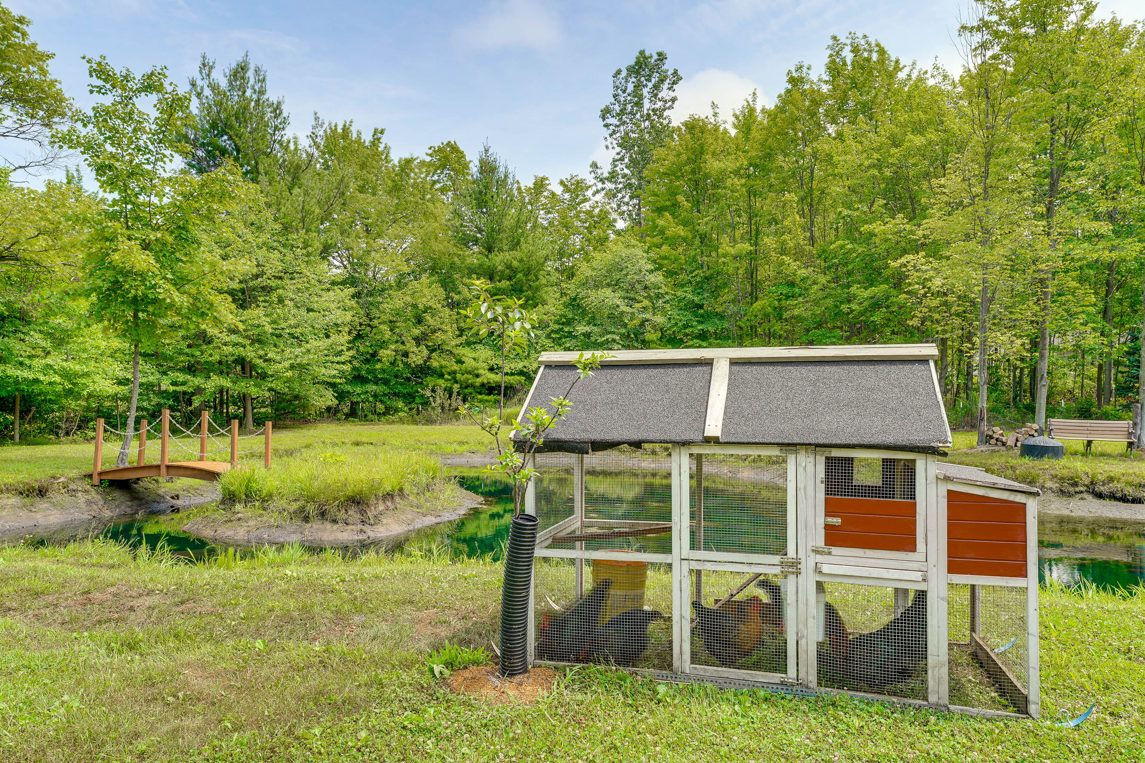 Chicken Coop