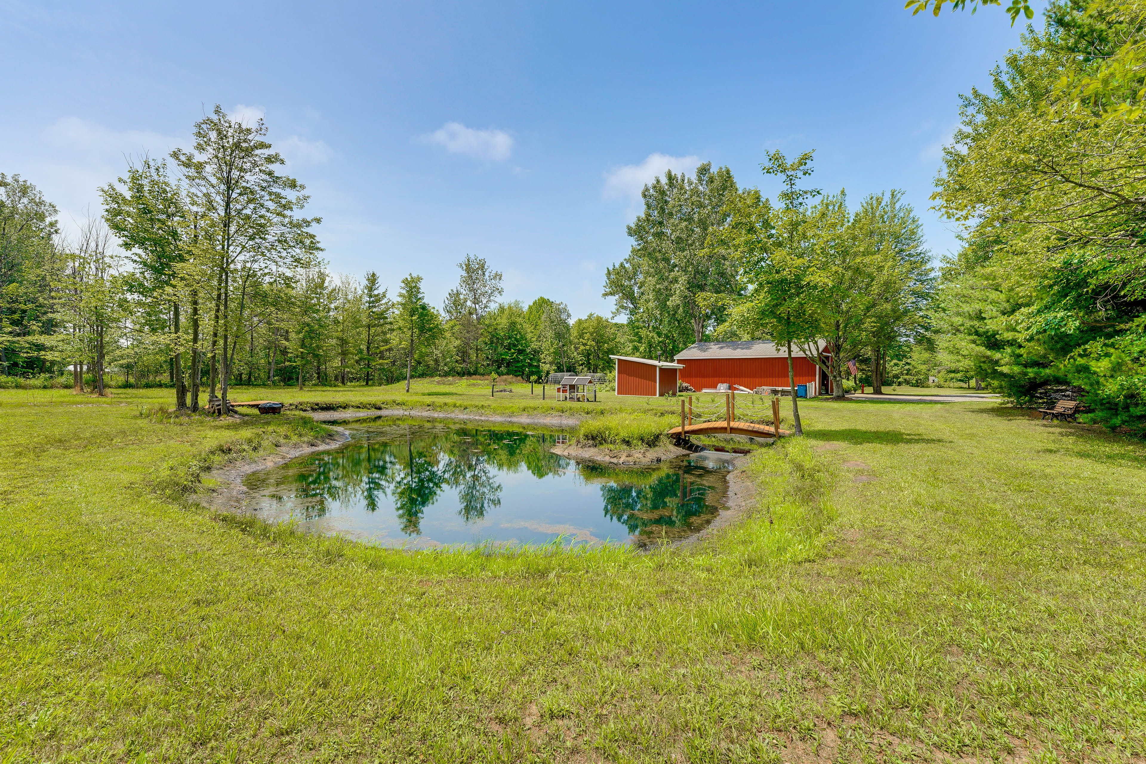 Pond