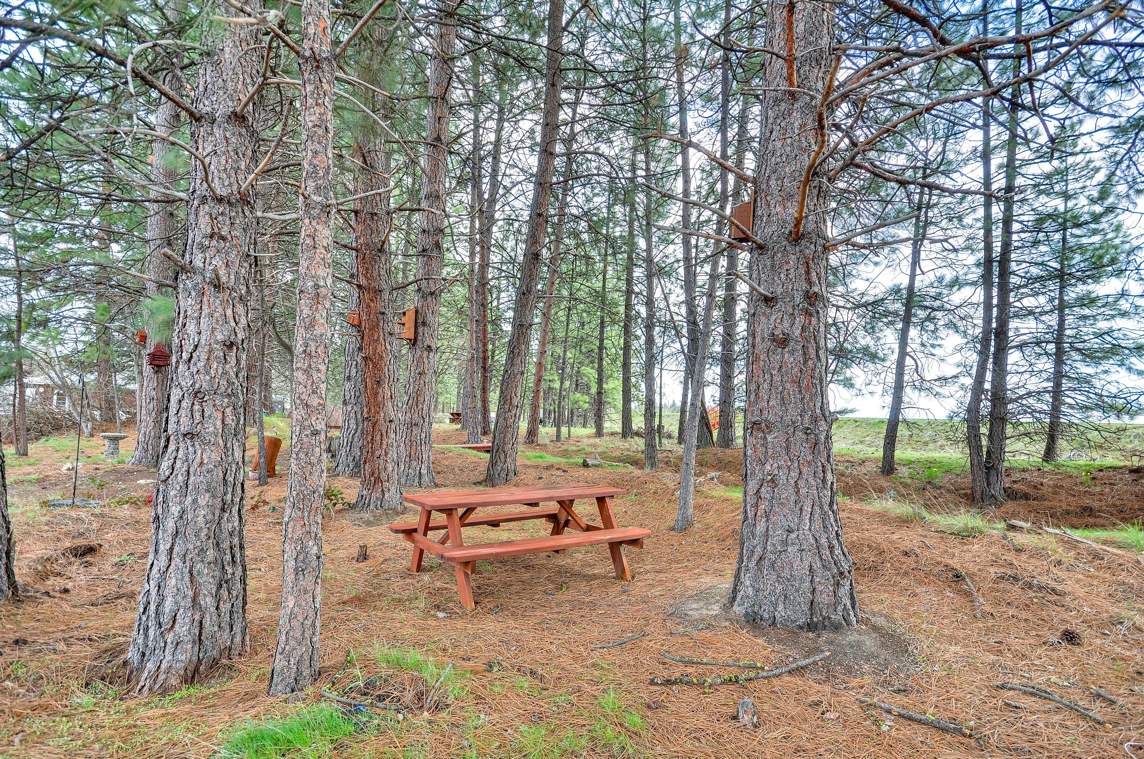 Wooded Surroundings