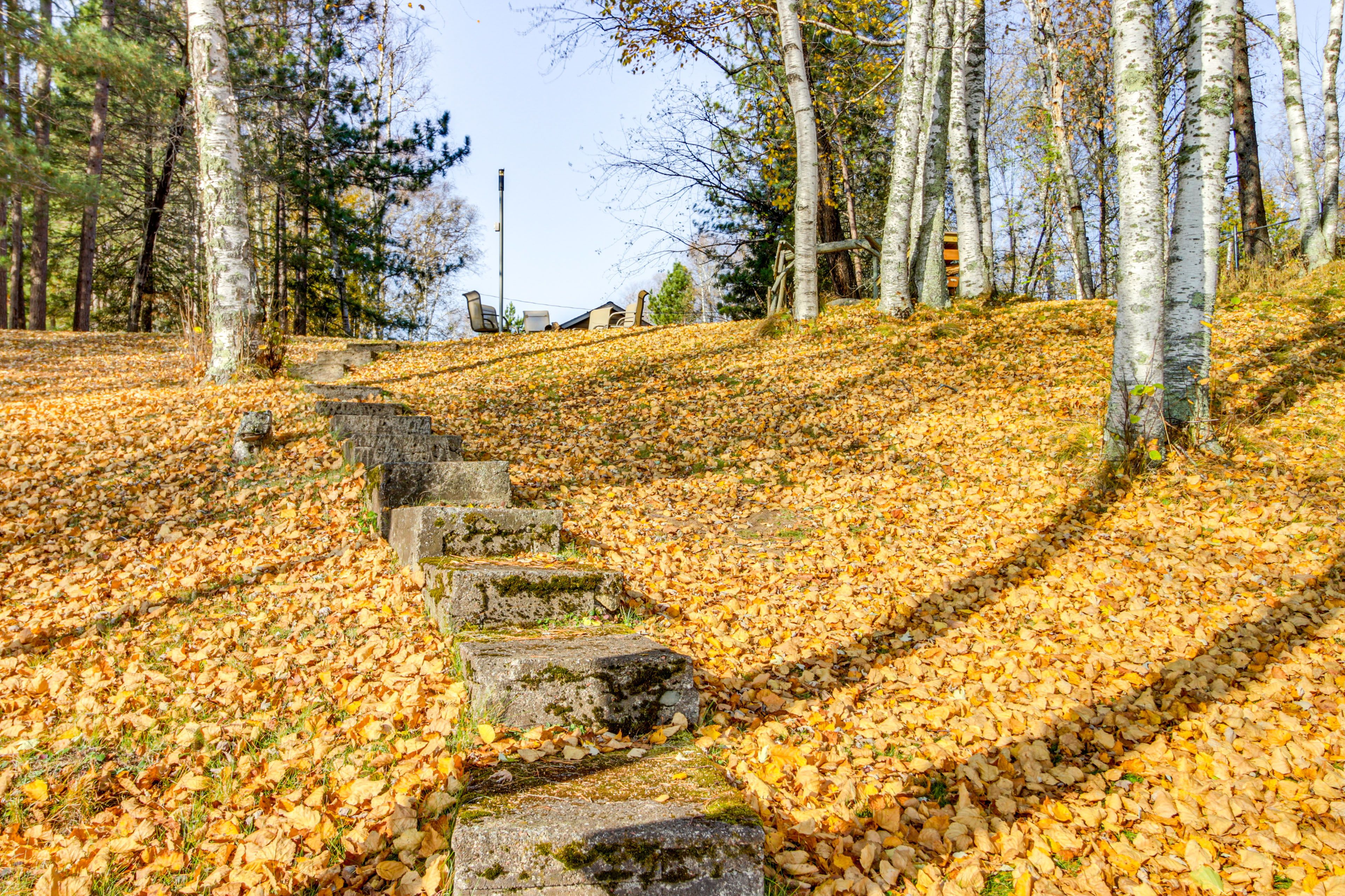 Steps to Lower Deck