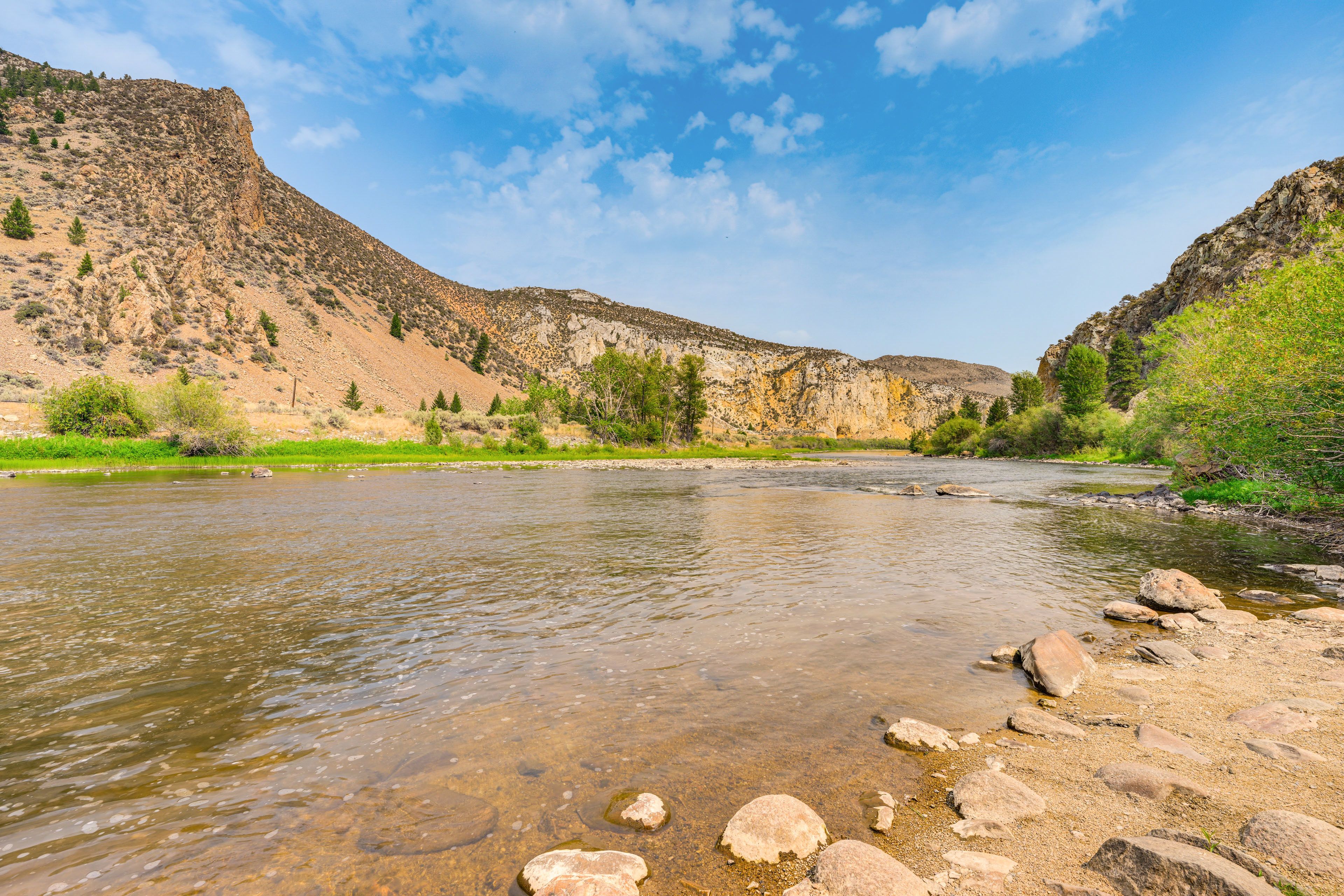 Canyon Creek & Big Hole River Nearby