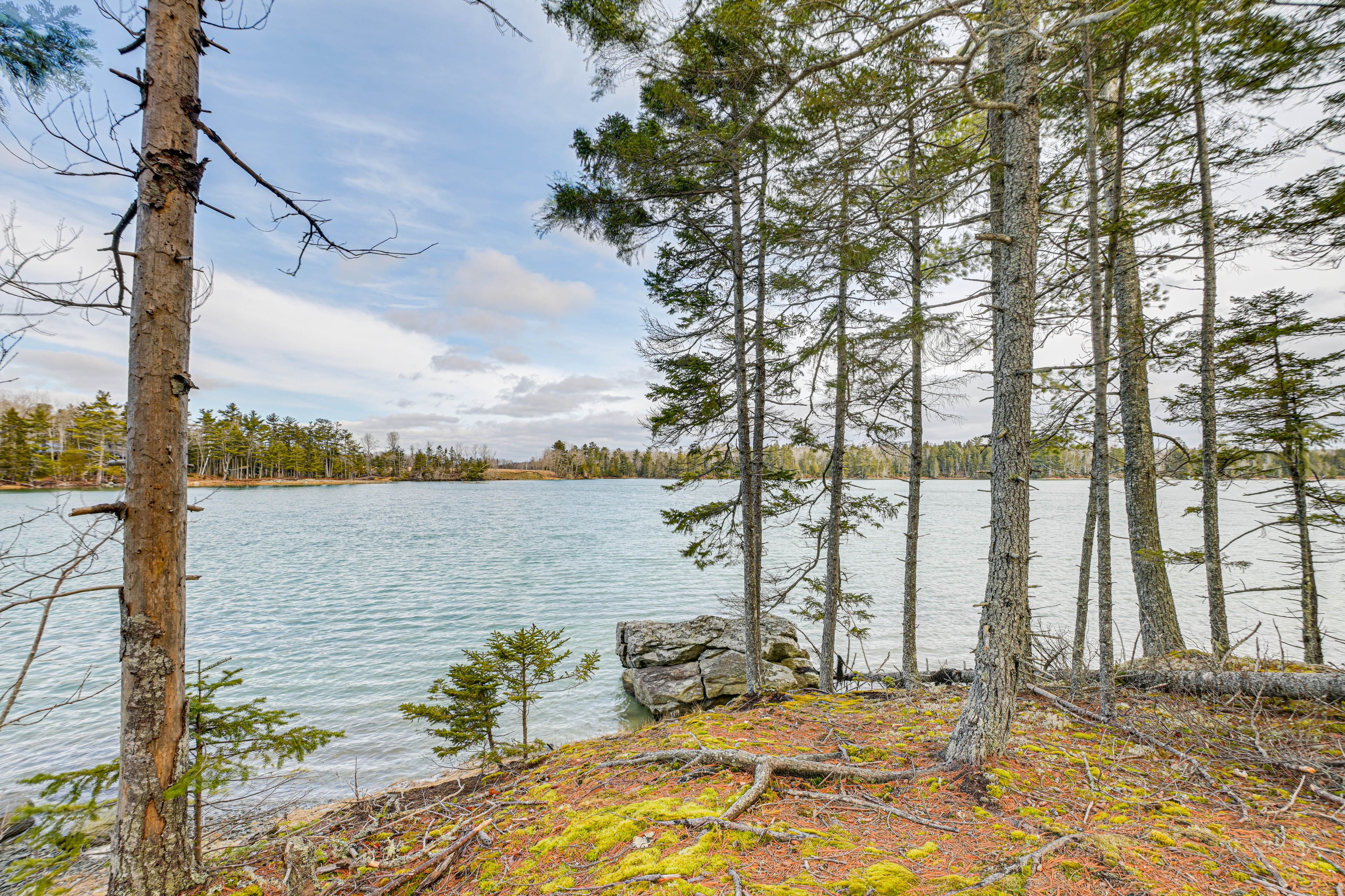 Weir Cove View