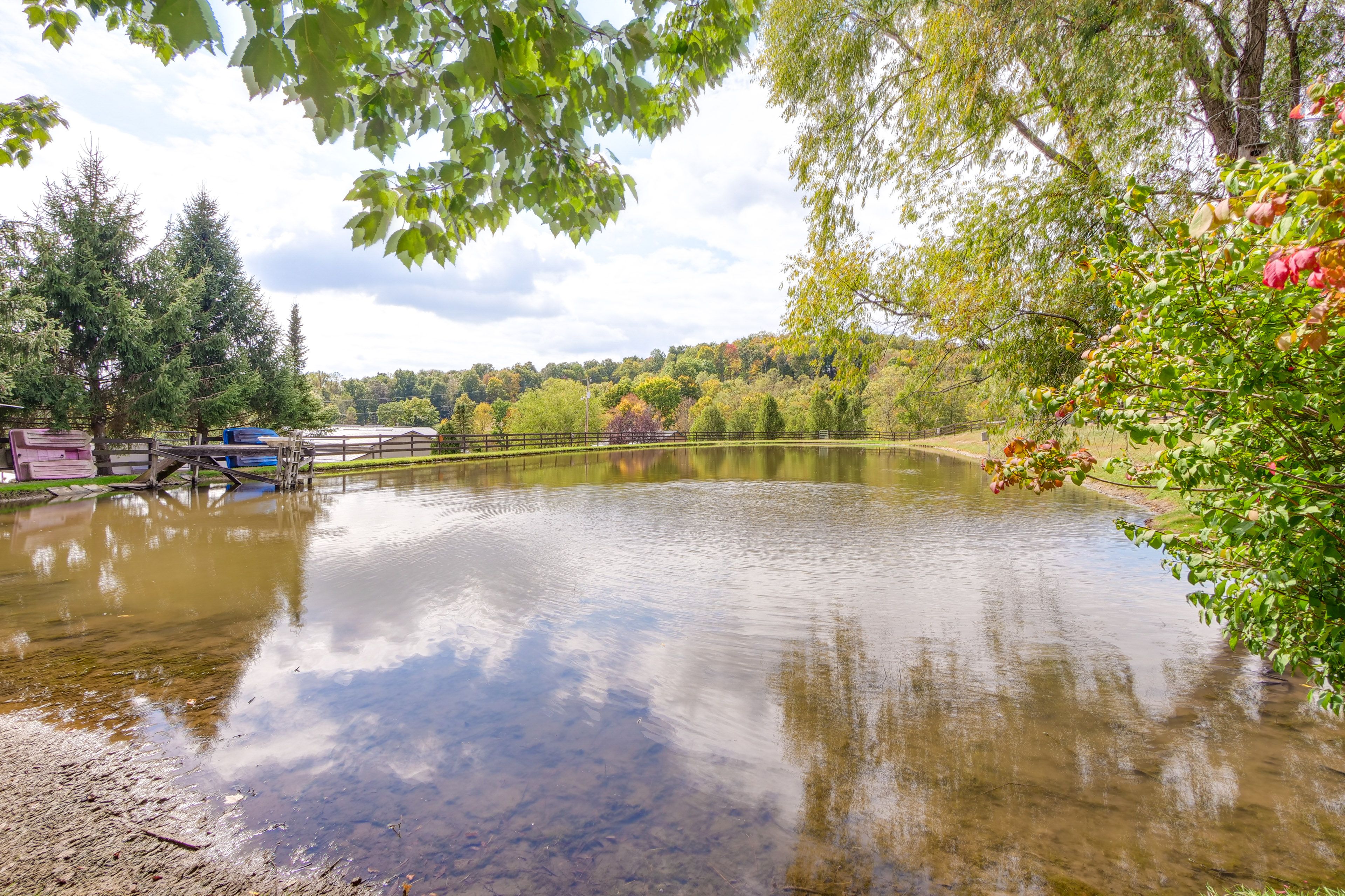 Pond On-Site