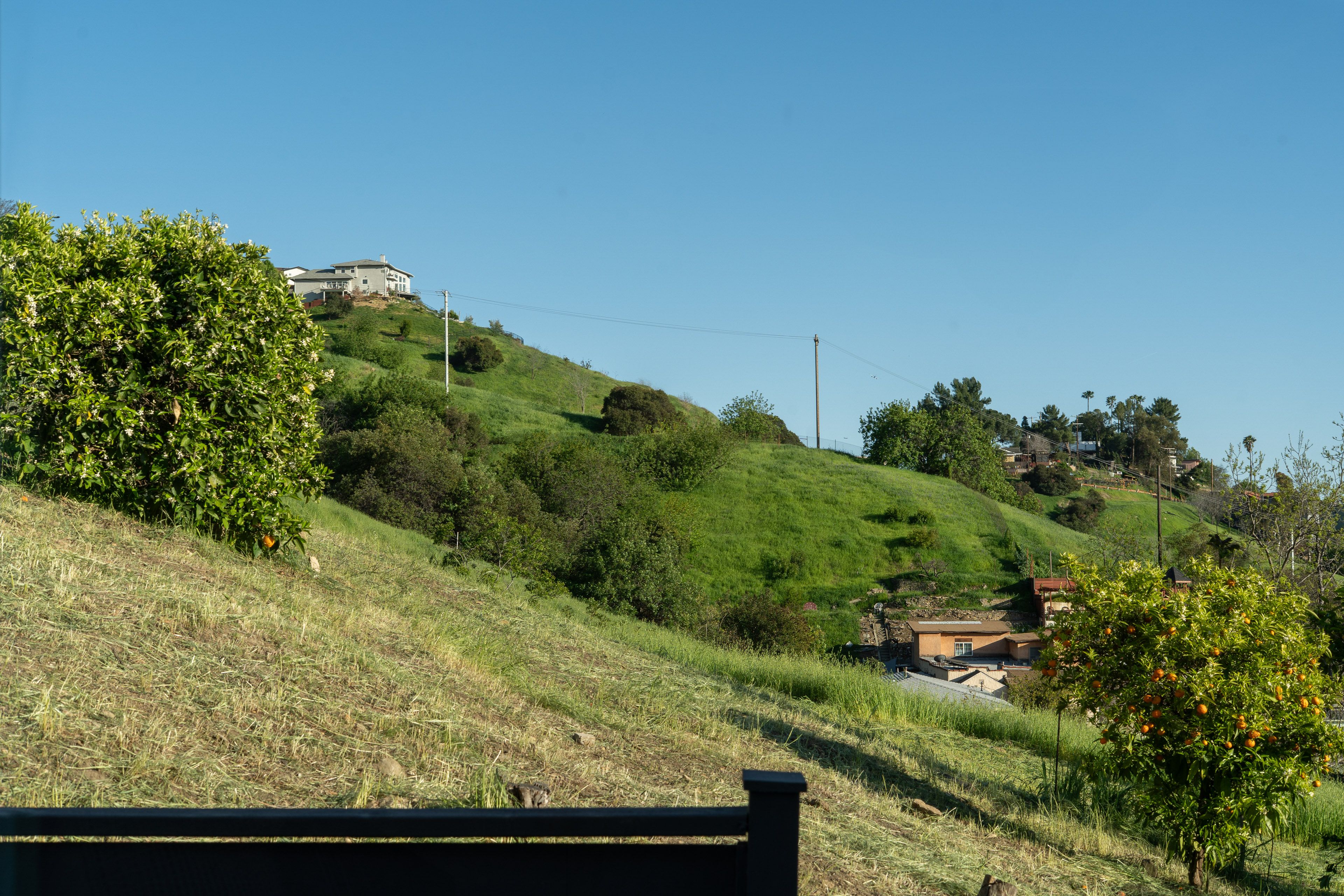 Surrounding Views