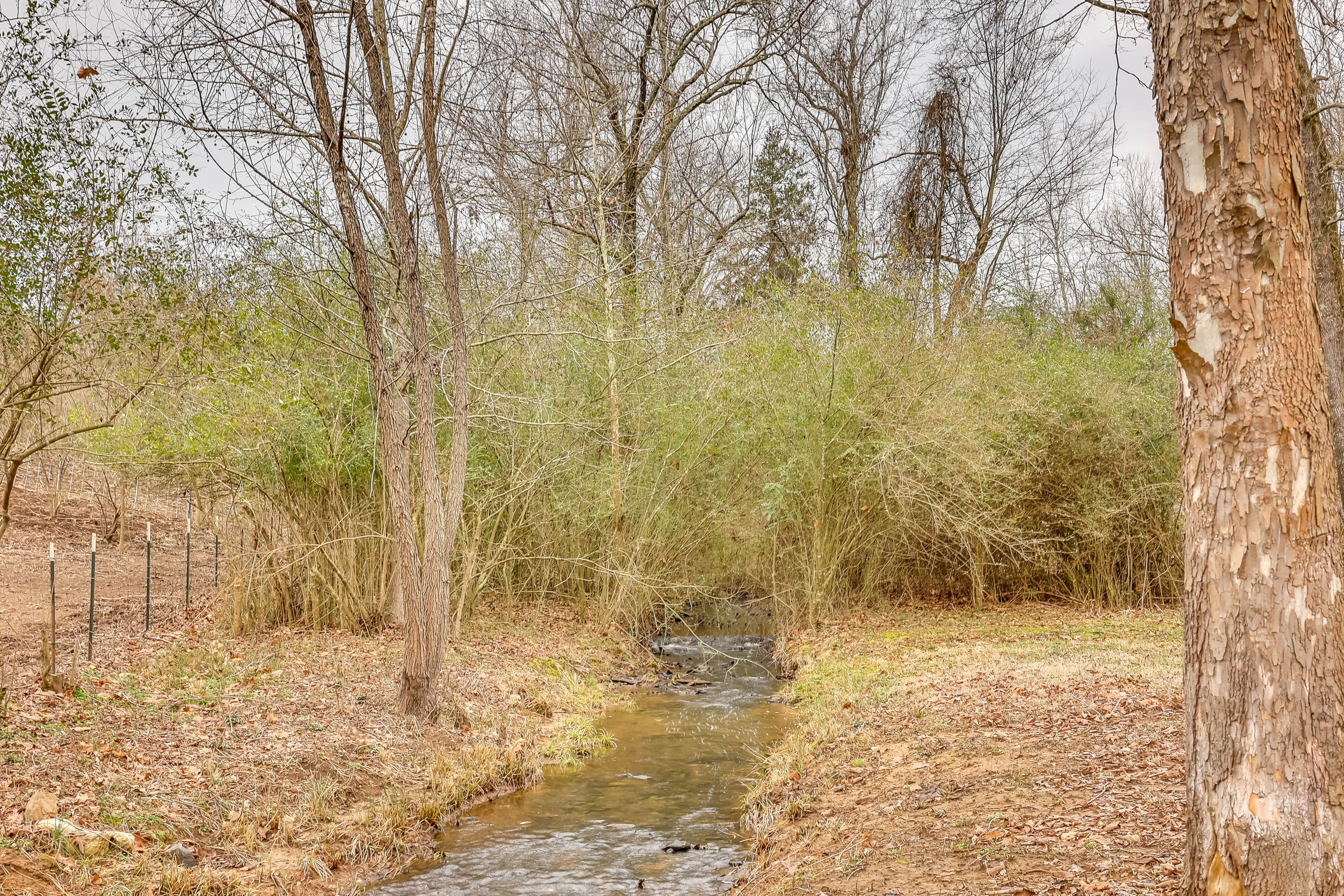 Image 25