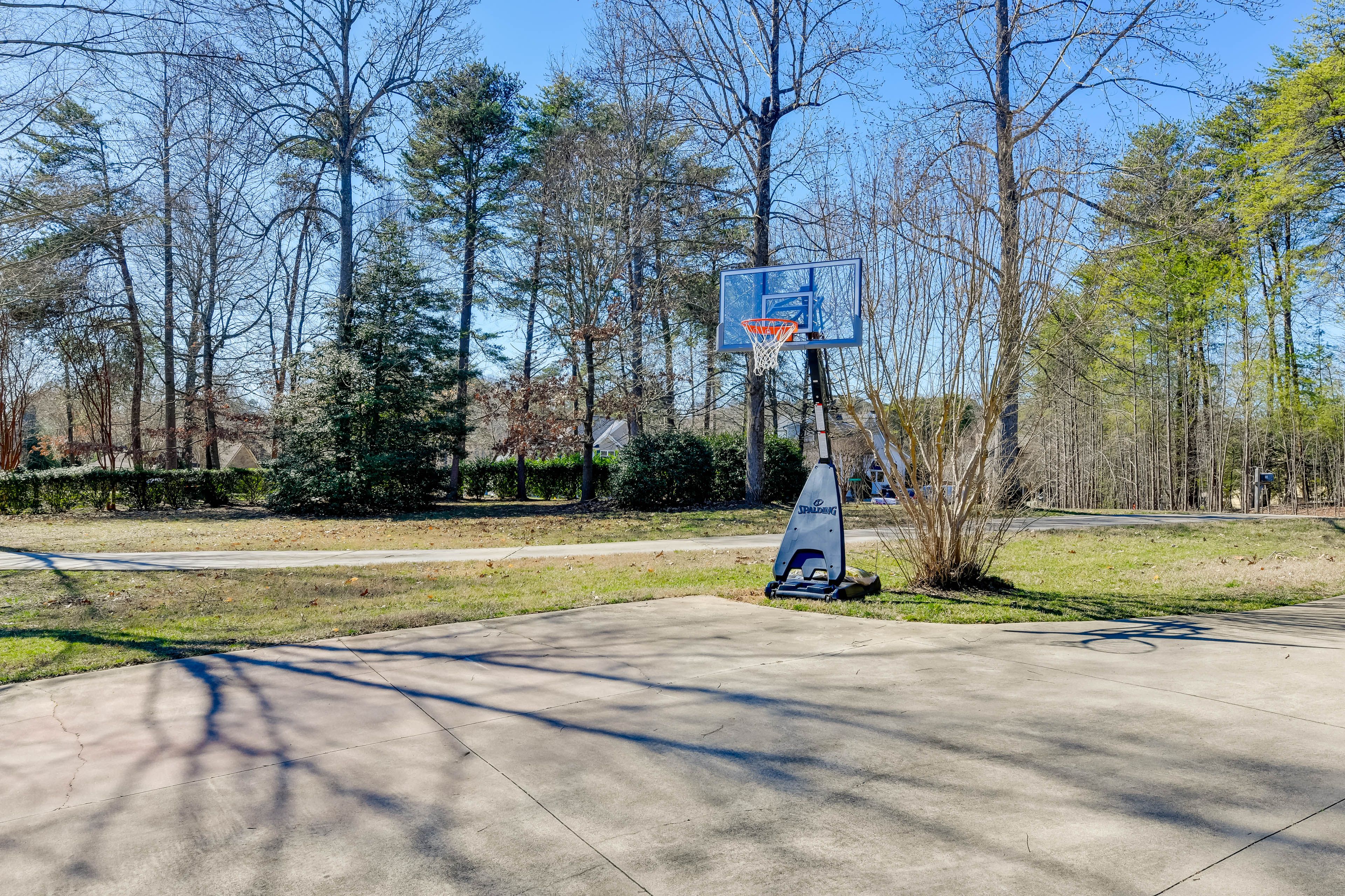 Basketball Hoop