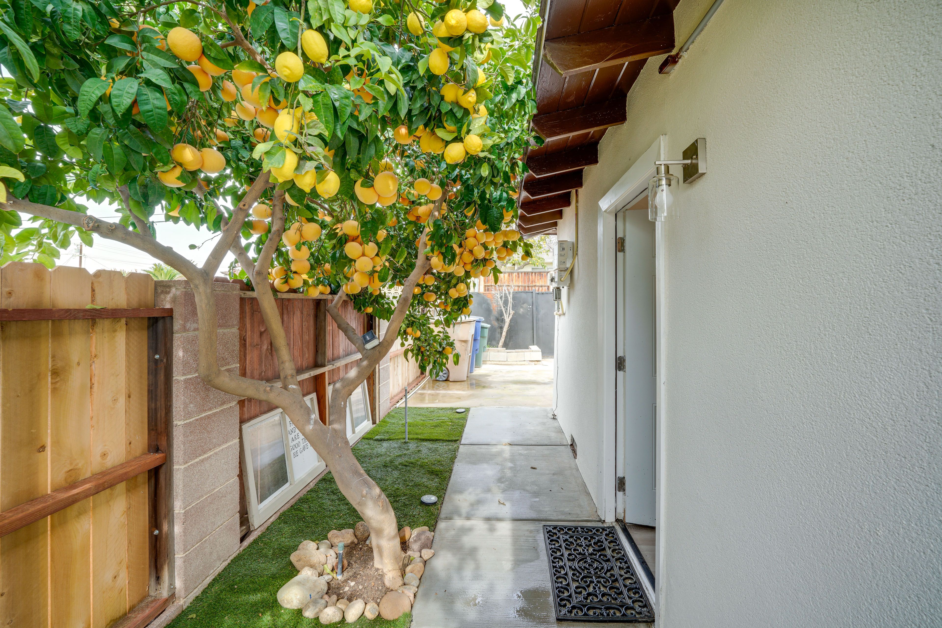 Image 27