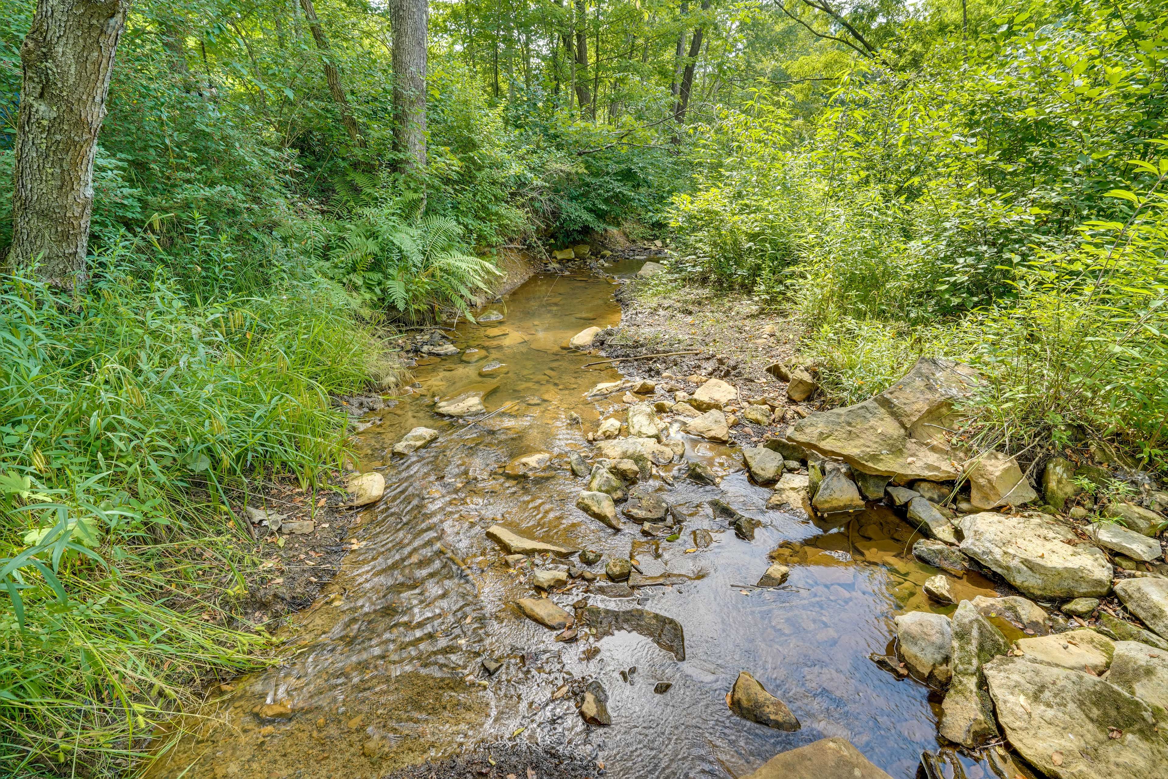 Image 30