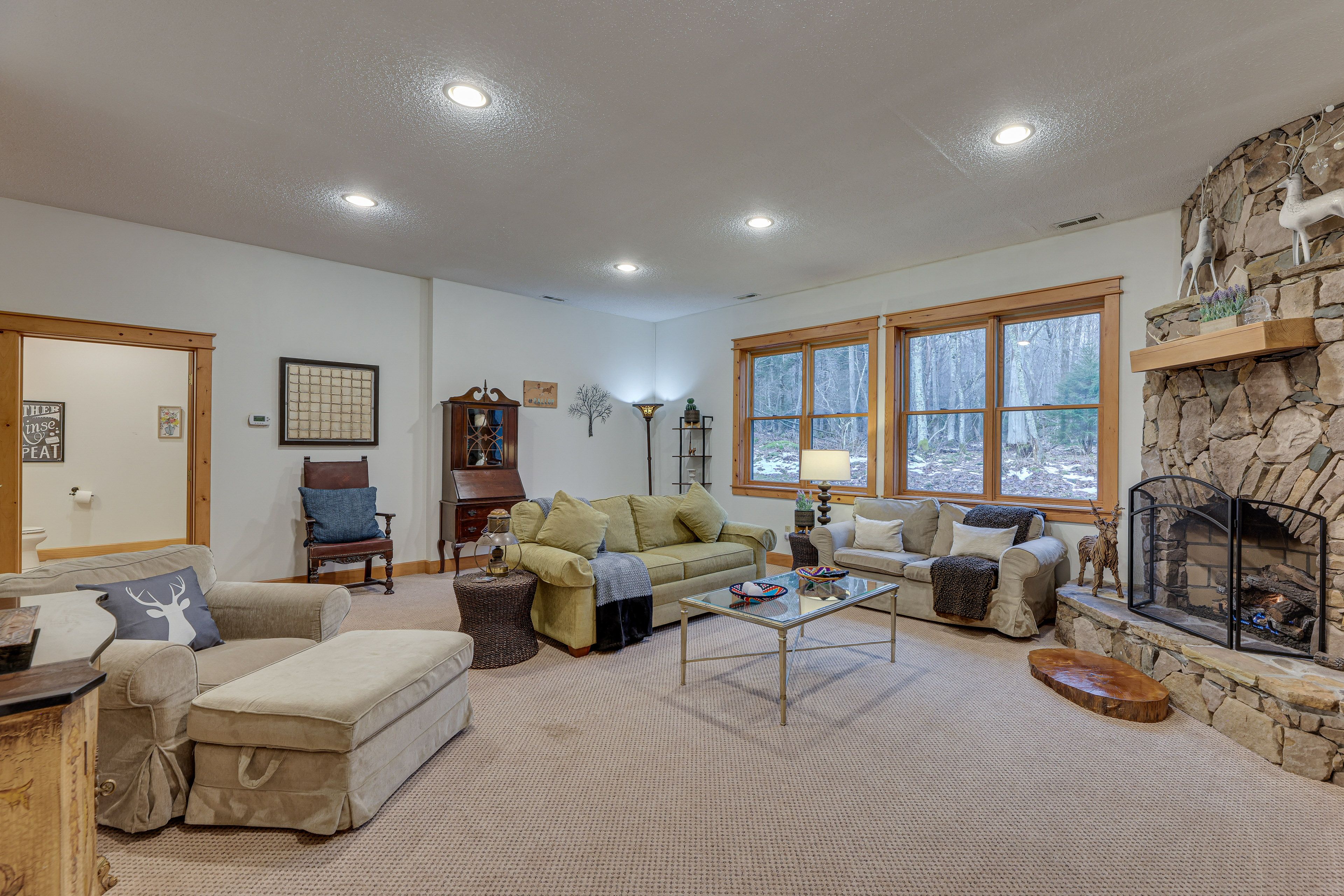 Basement Living Room | Lower Level | Full Sleeper Sofa