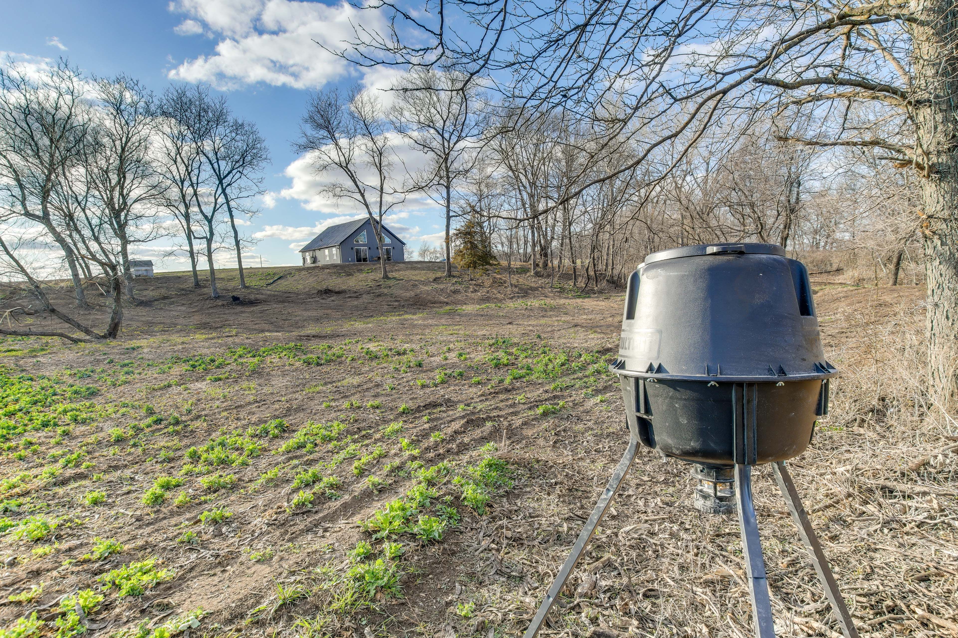 Wooded Yard | Wildlife Feeder