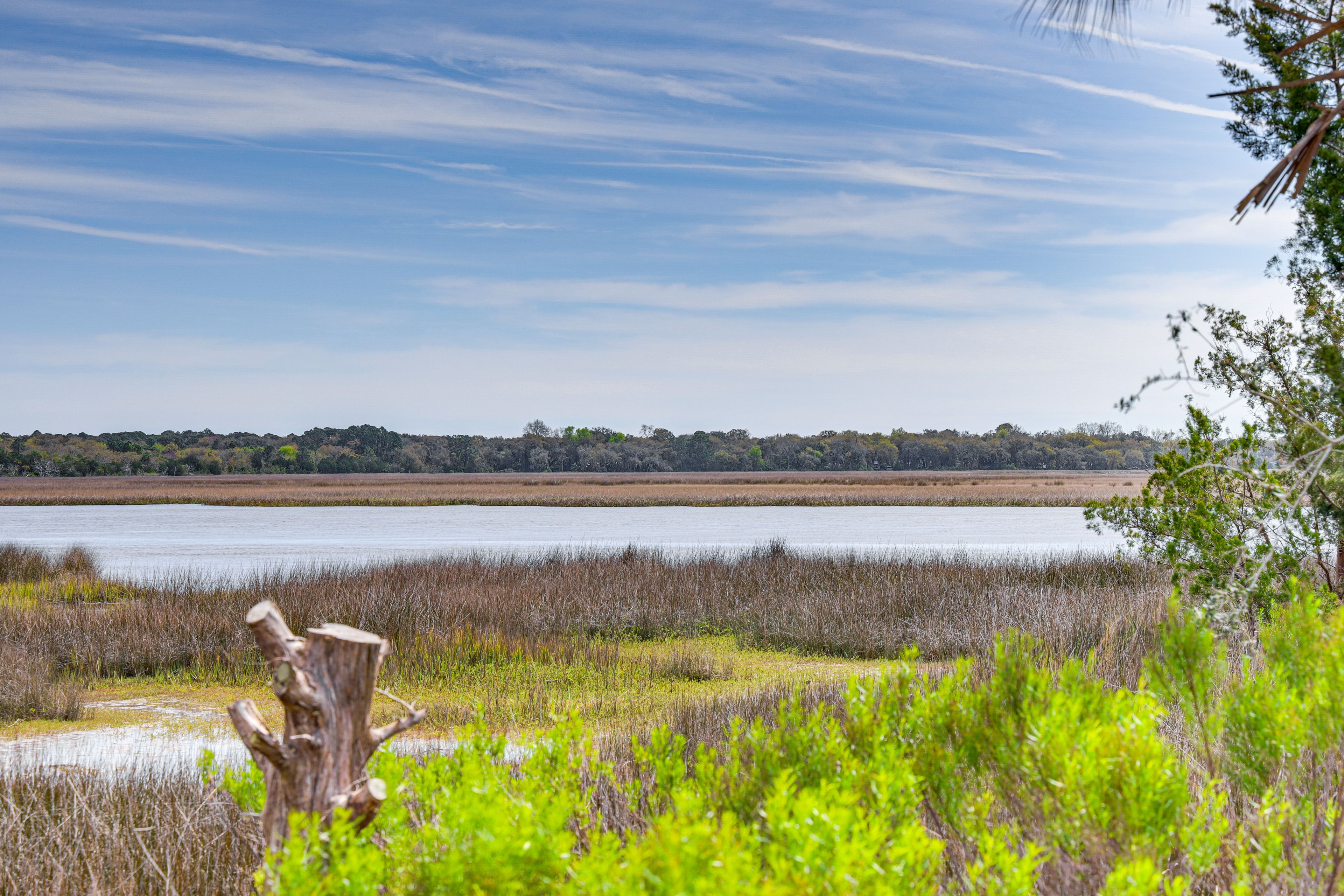 Marsh Views