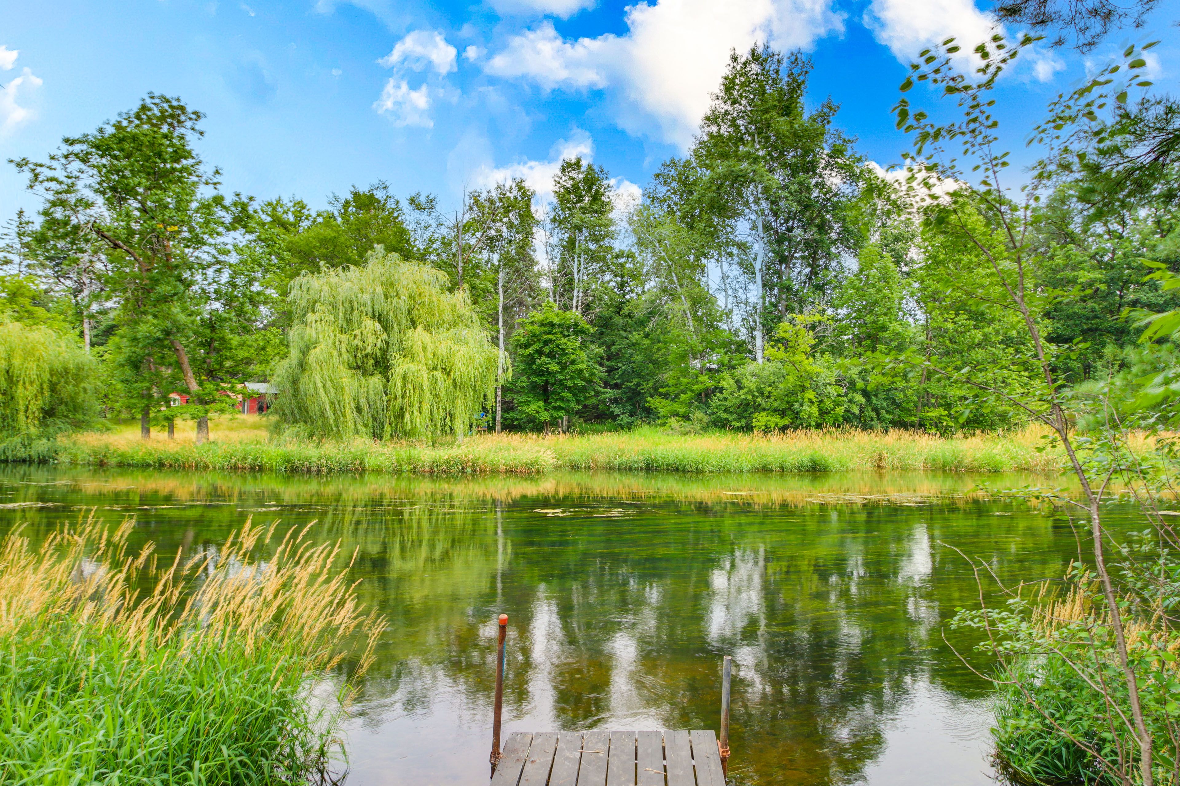 River Access | Private Dock | Kayaks