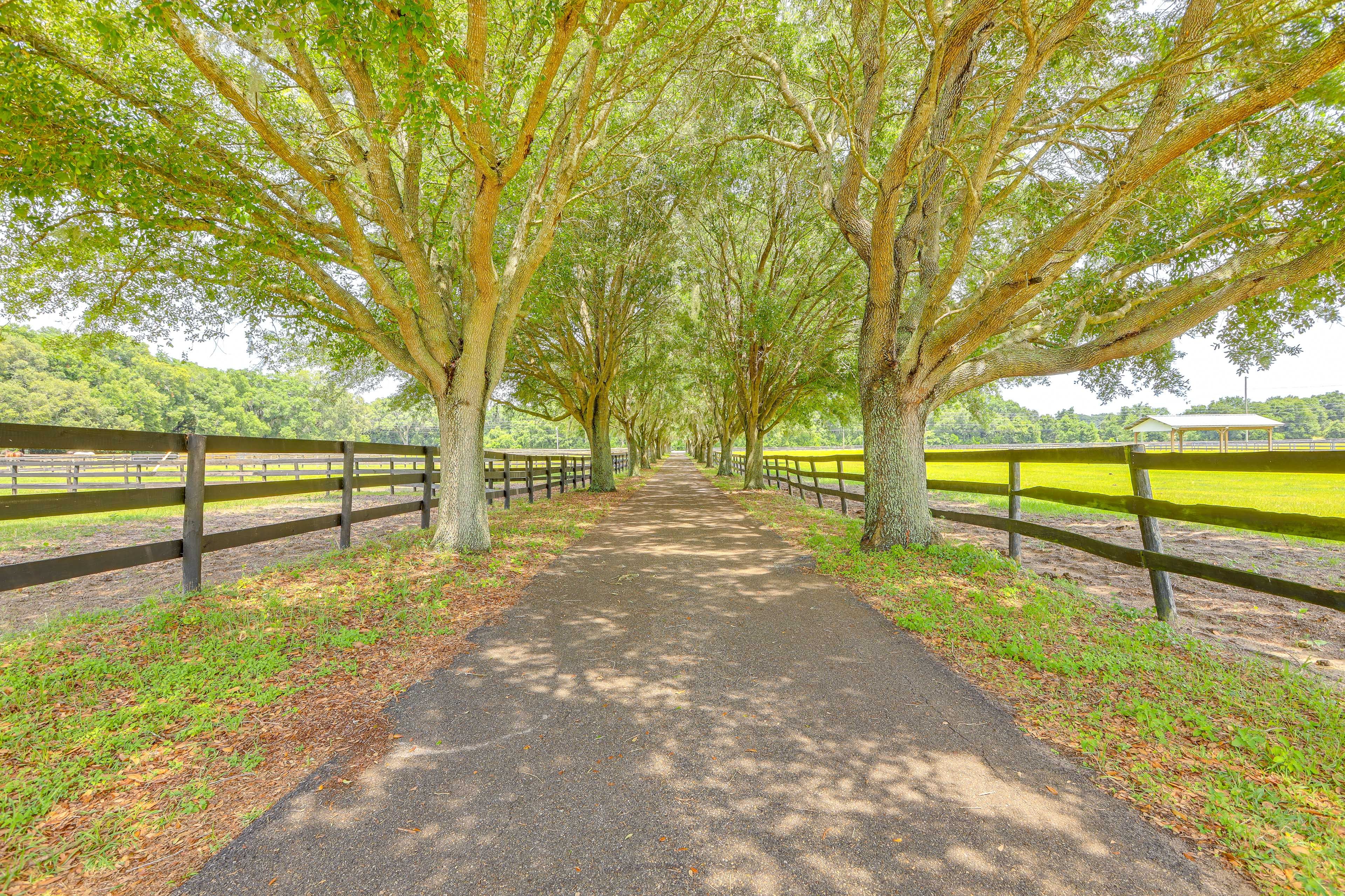 Property Entry