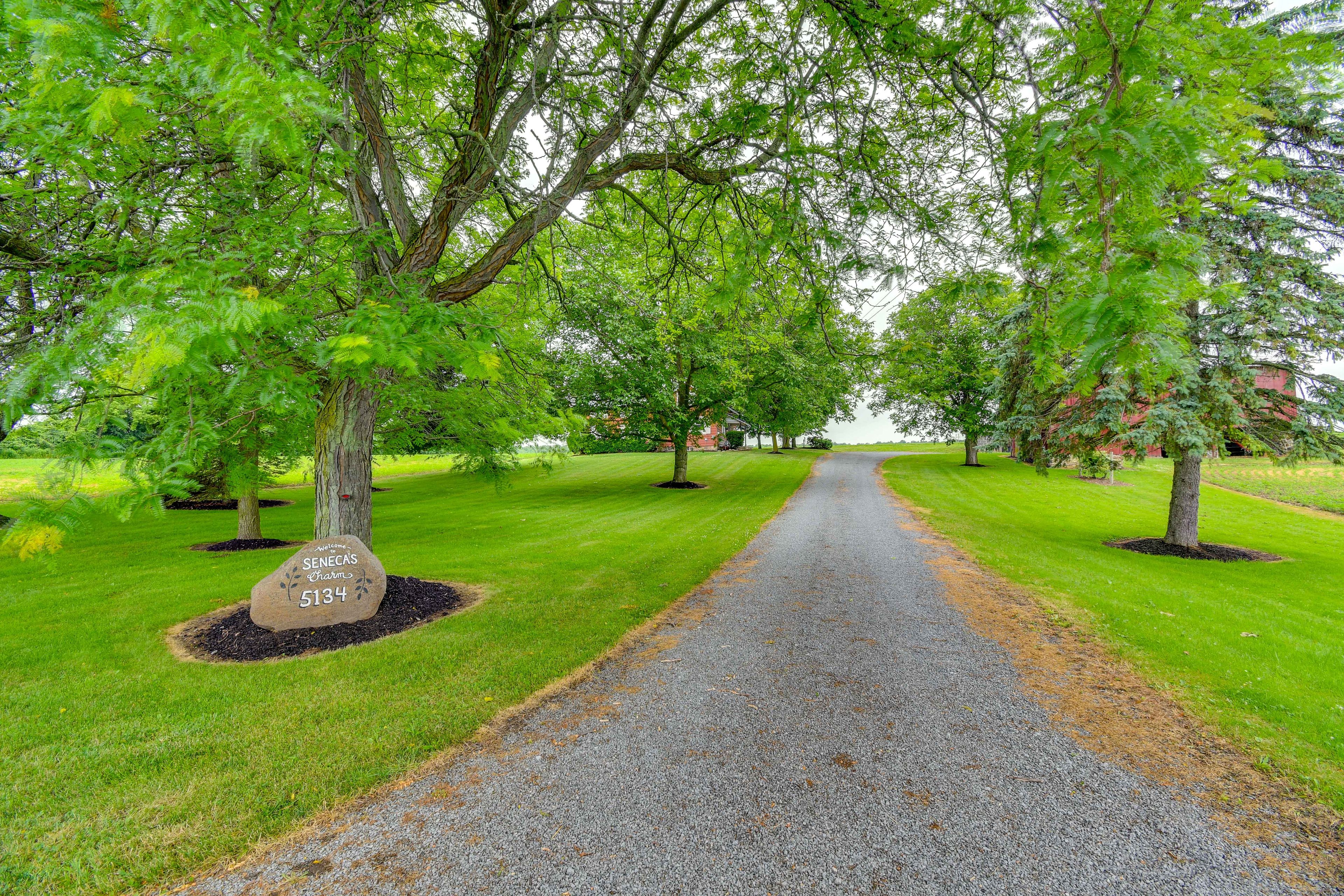 Parking | Driveway (10 Vehicles)