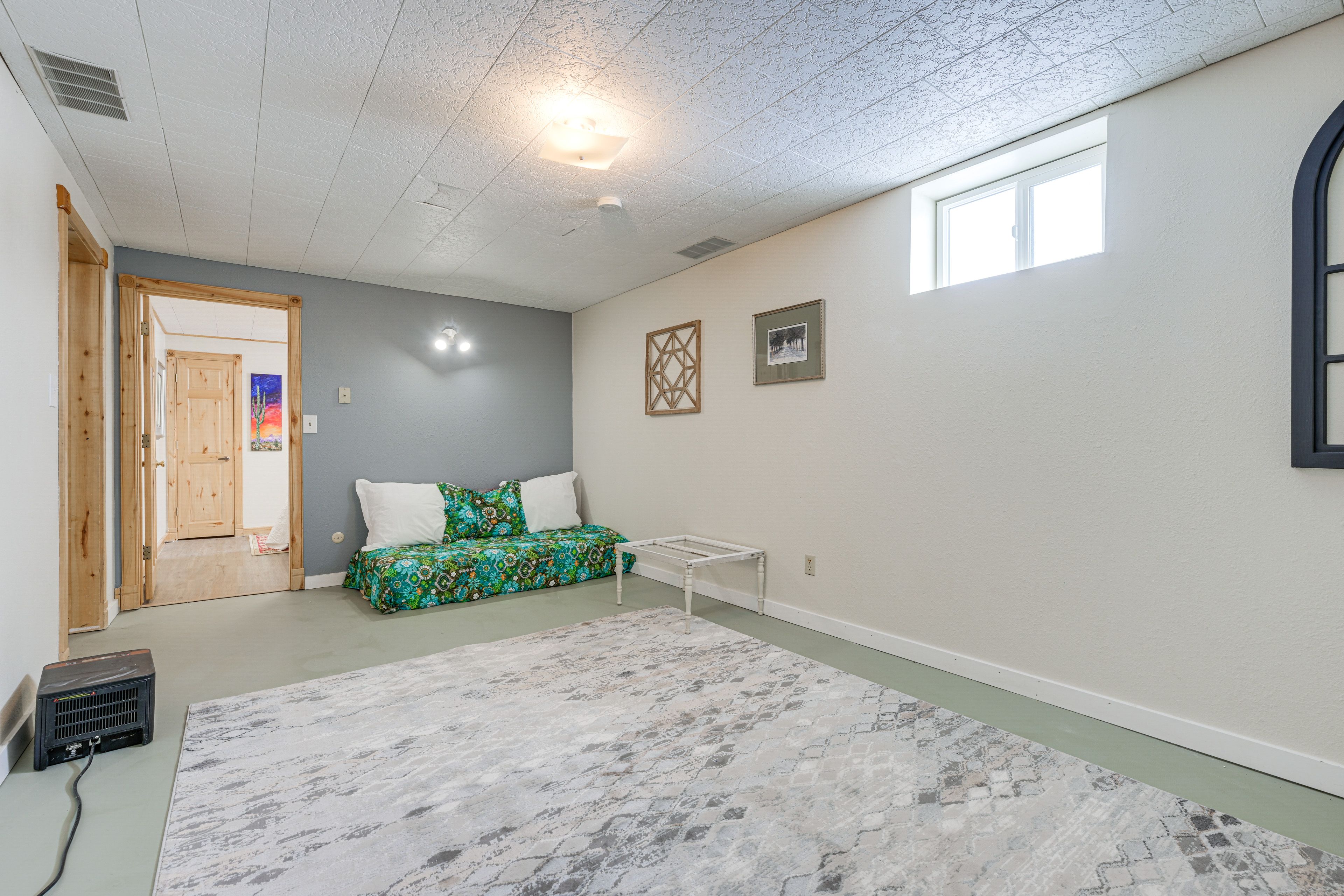 Basement Living Area