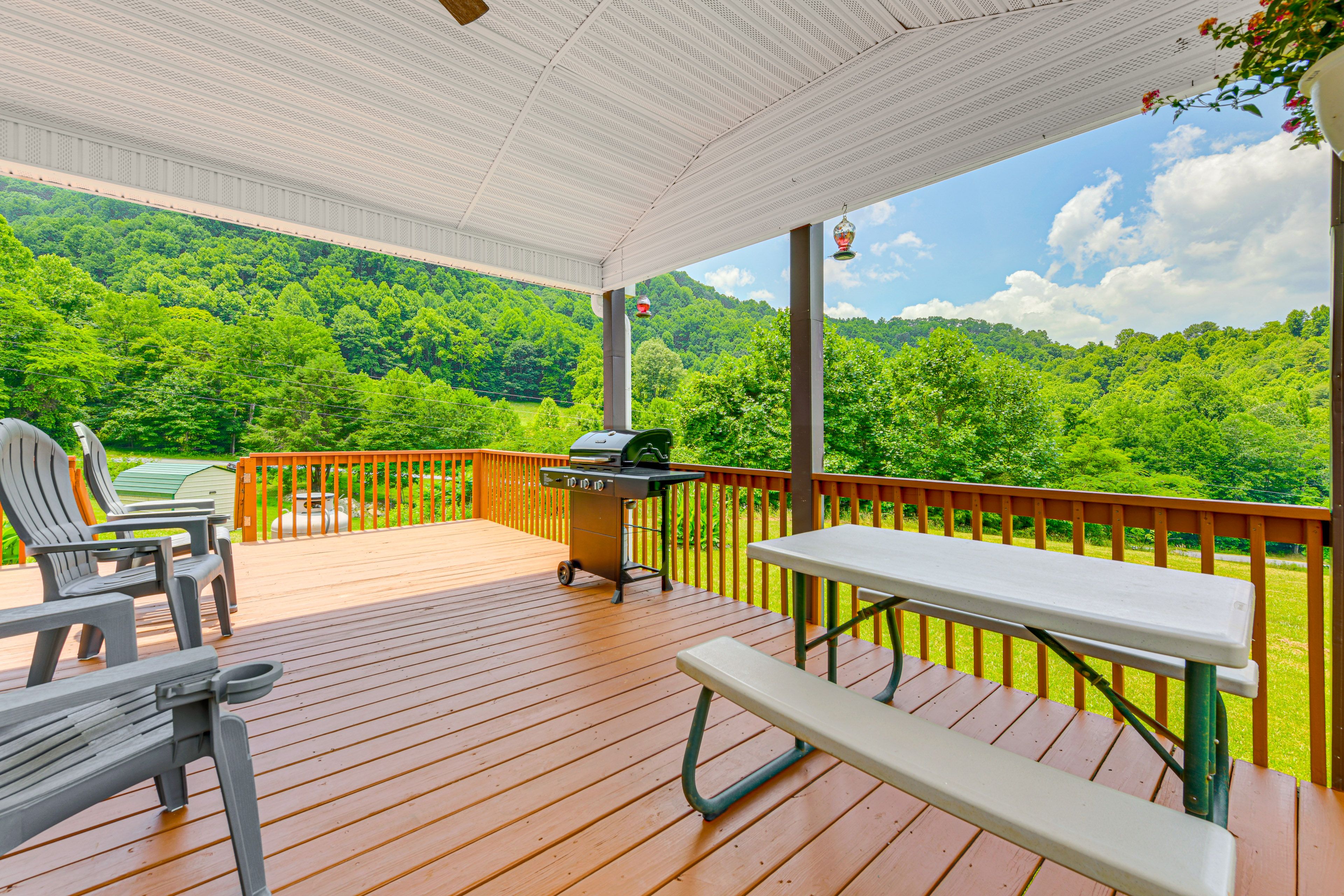 Deck | Gas Grill