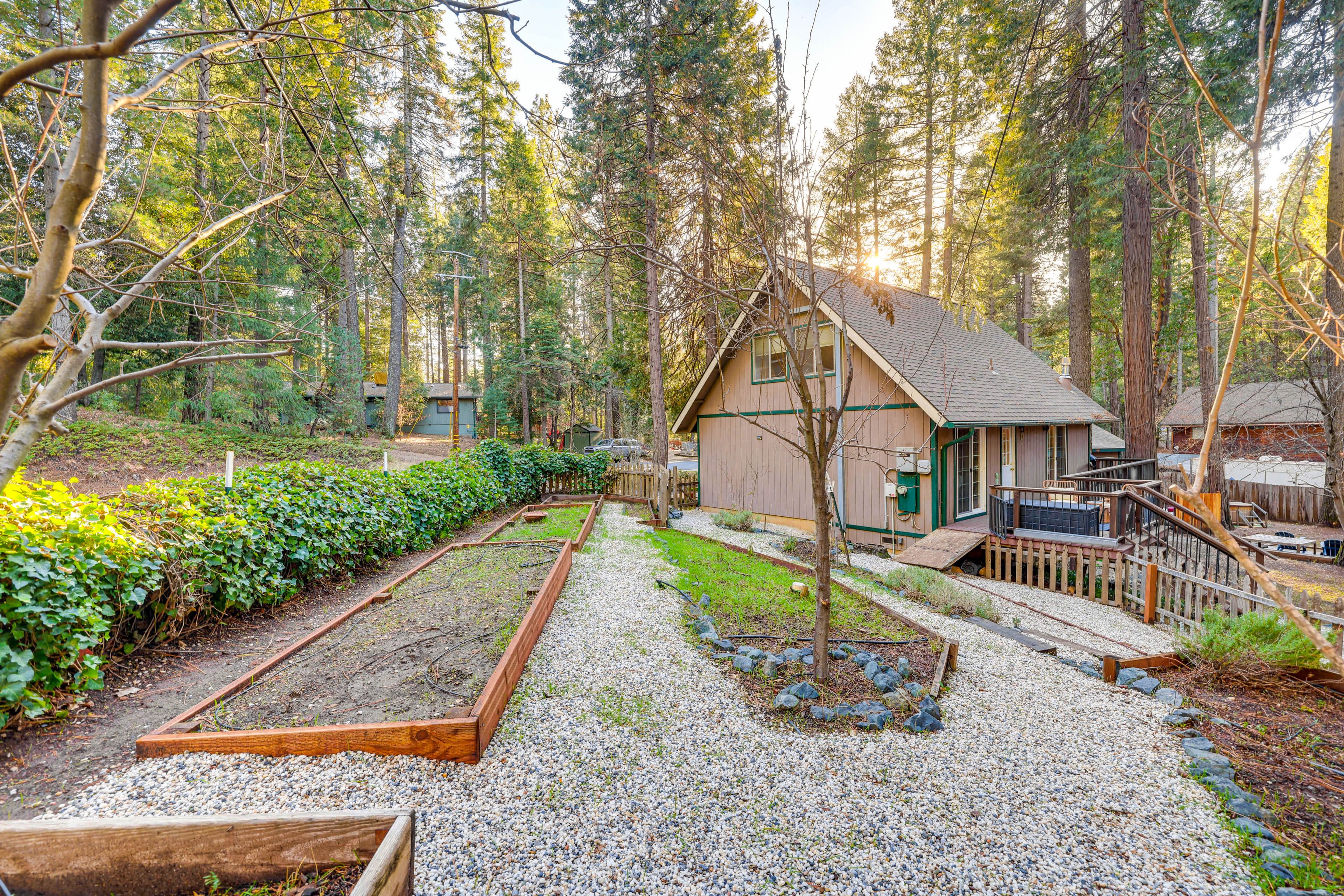 Yard/Garden Area