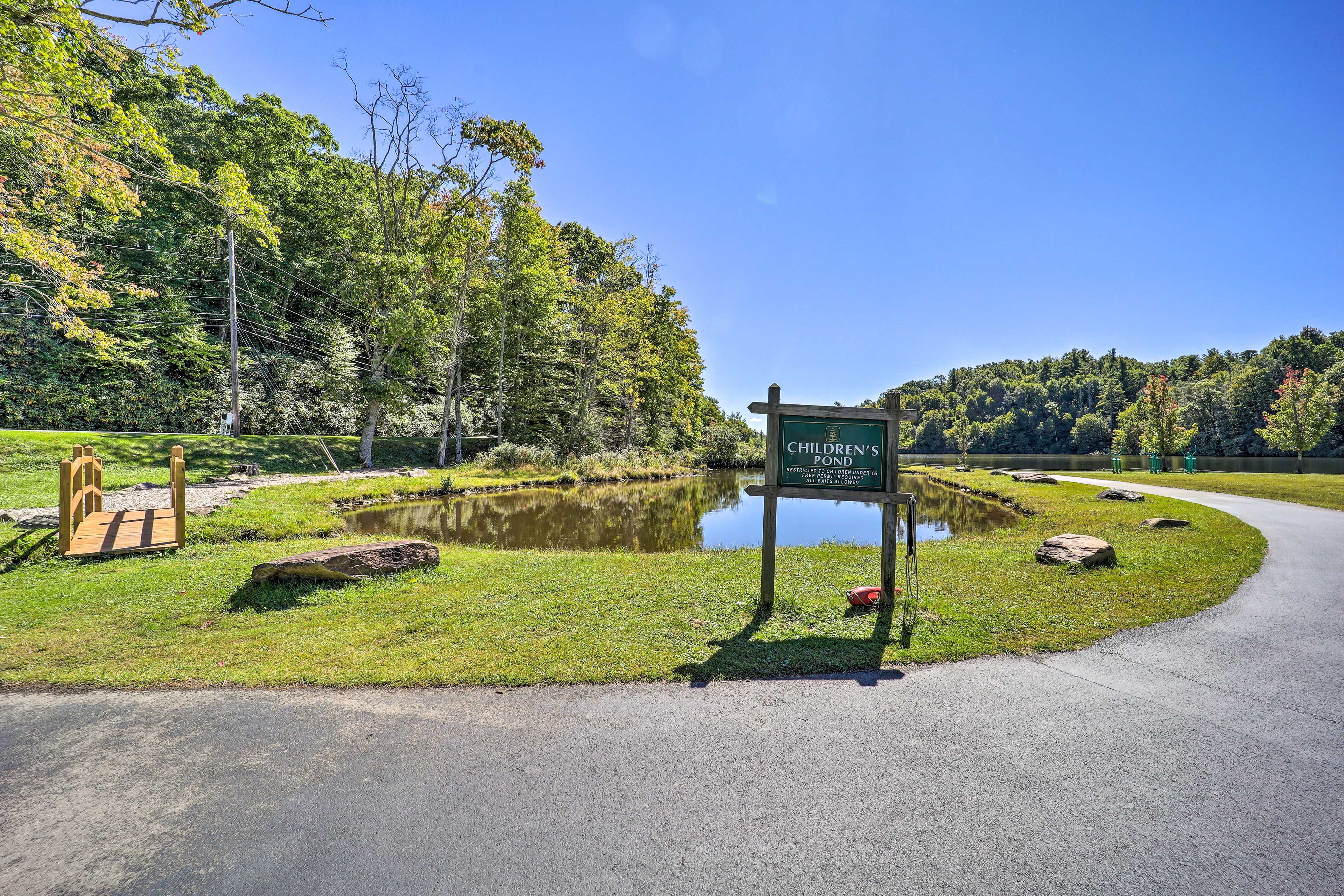 Pond