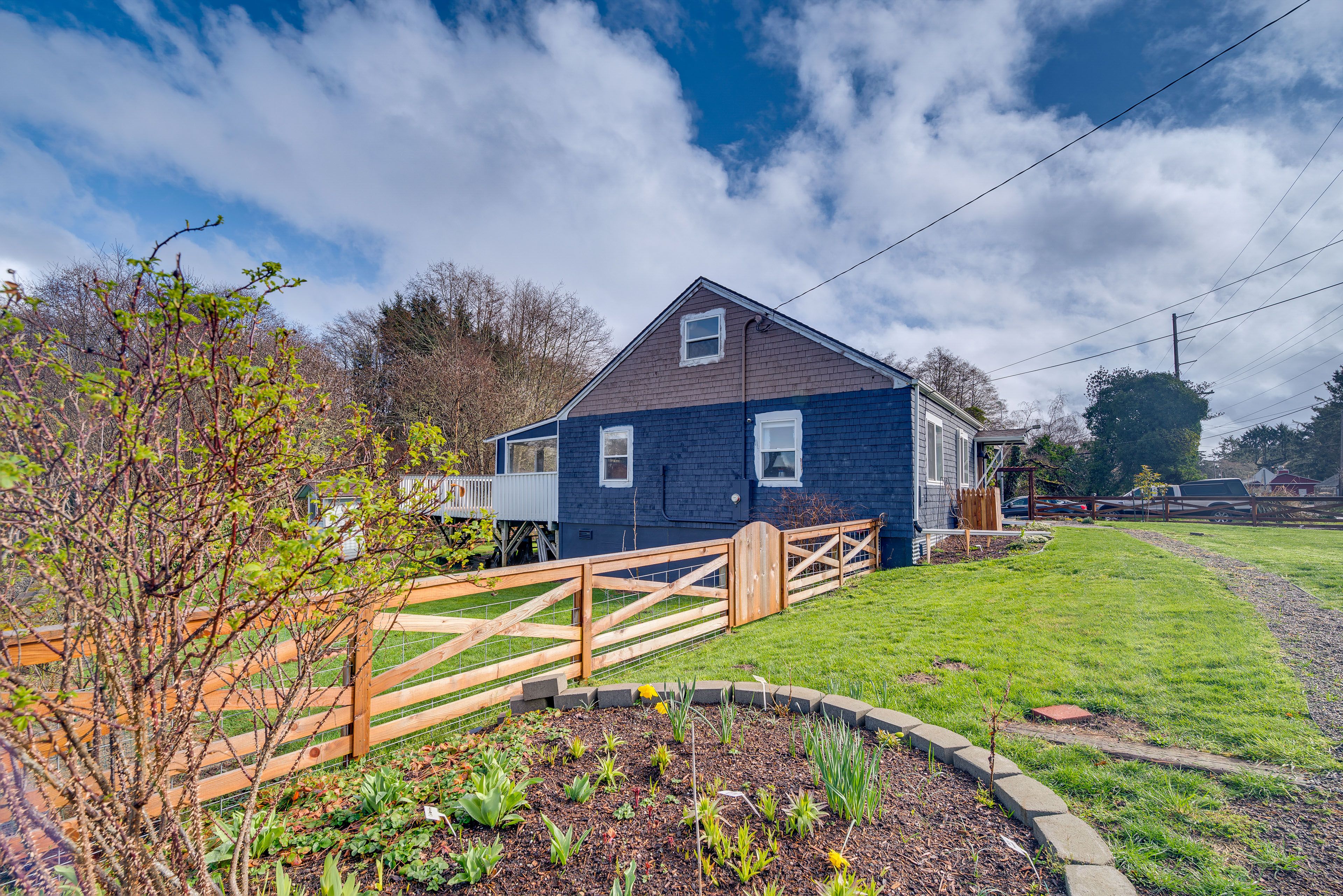 Front Yard | Fruit Trees | Blackberry Bushes