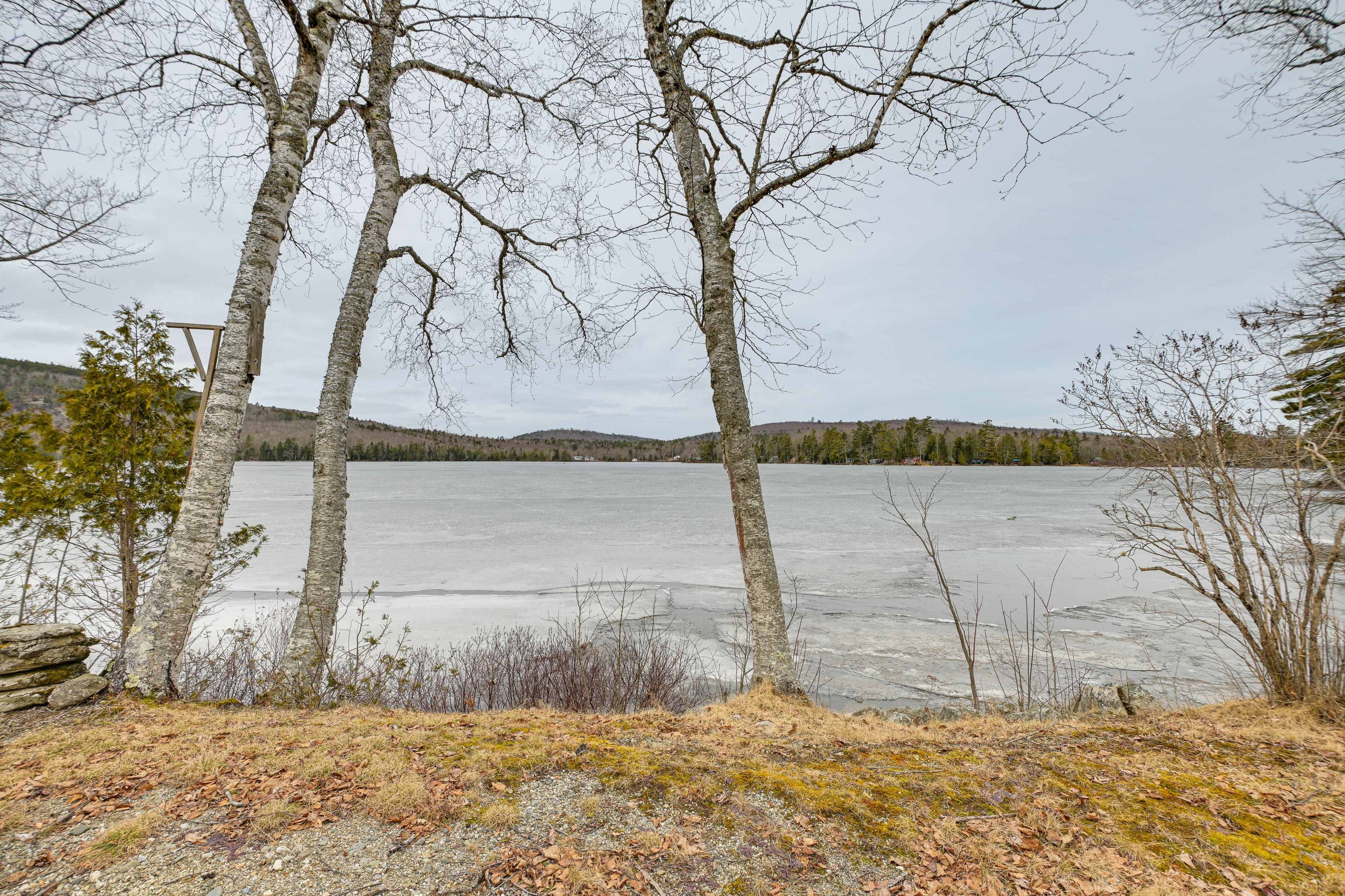 Water View