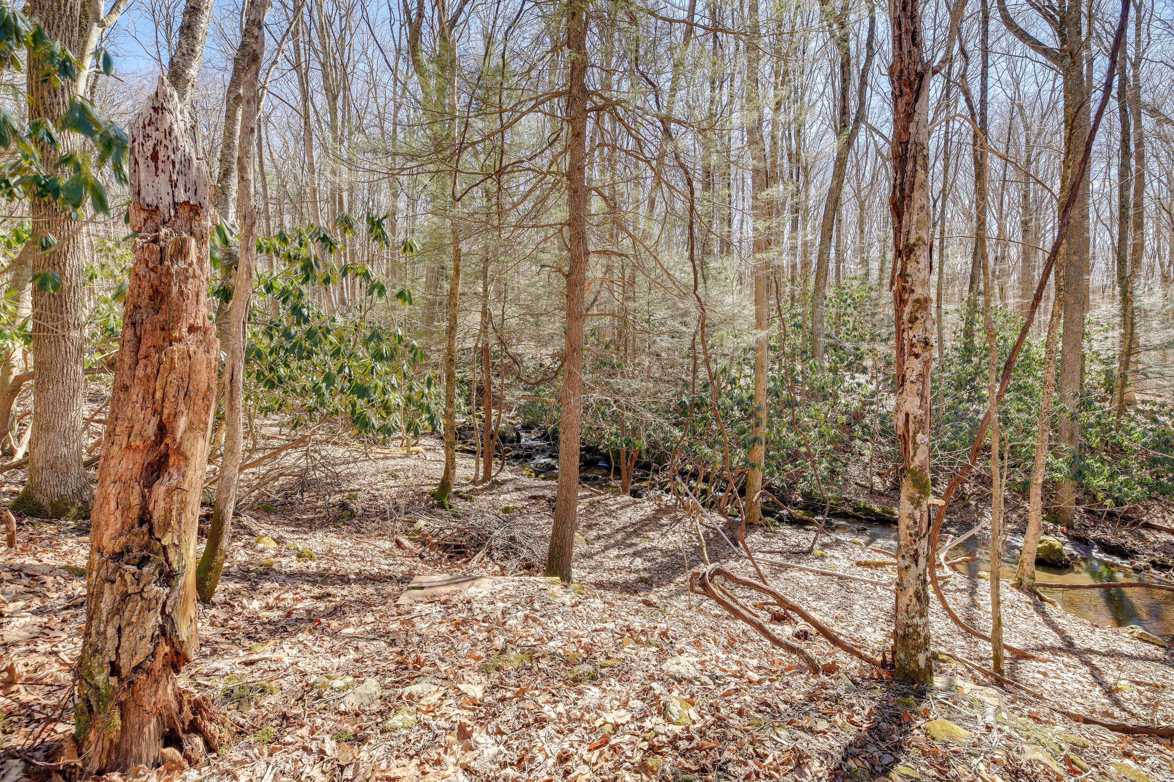 Hiking Trail Access On-Site