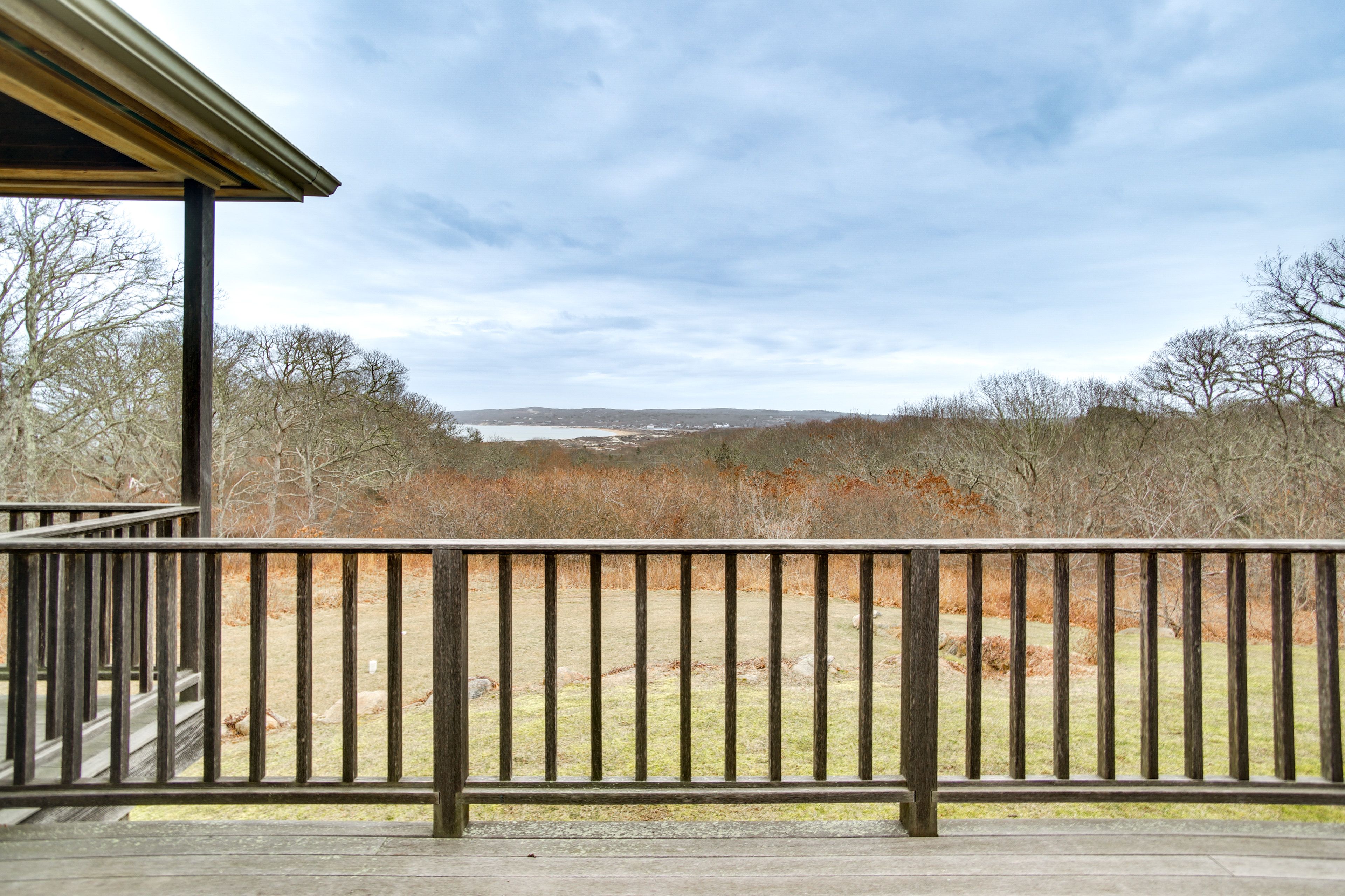 Lower Deck | Wooded Yard