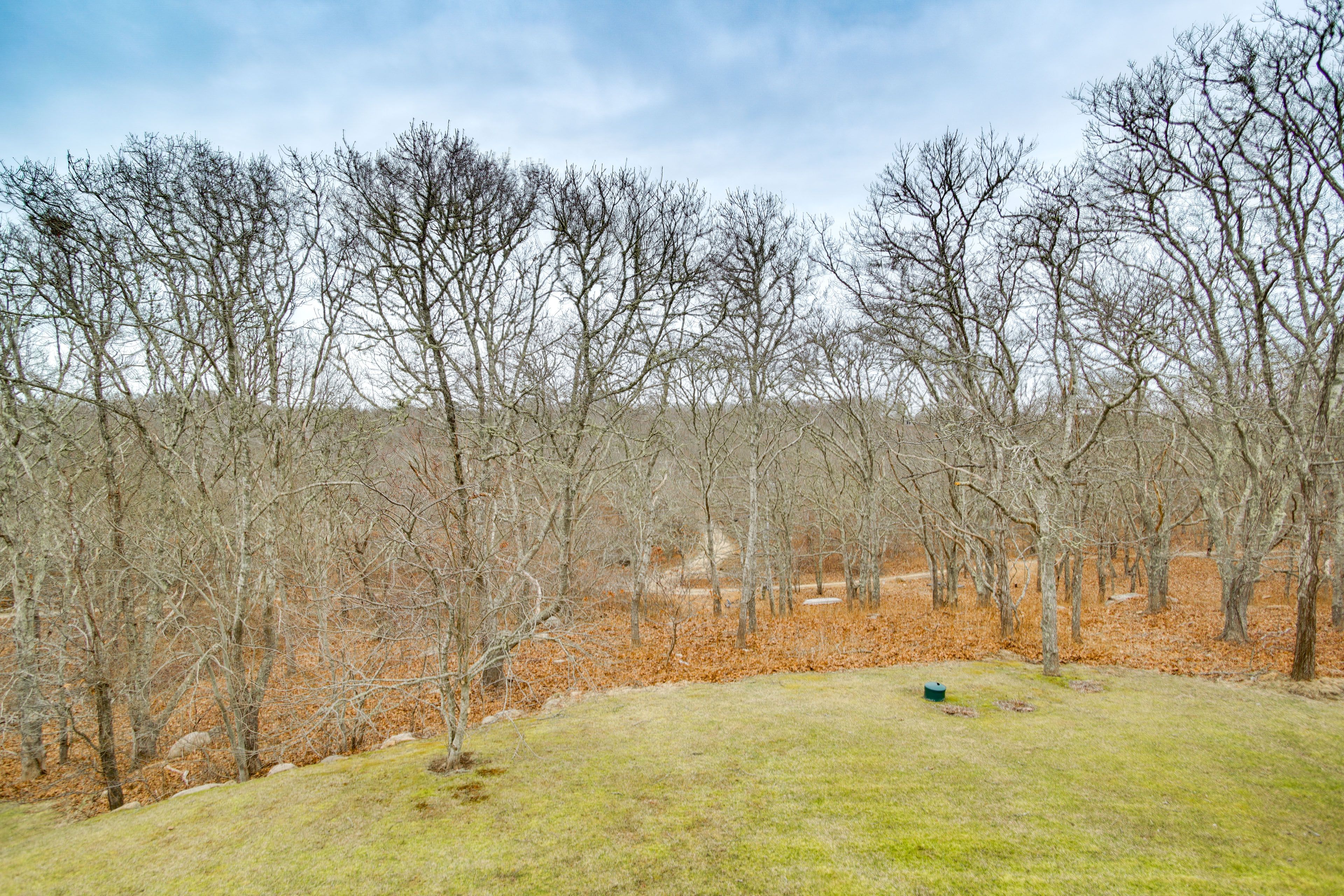 Private Wooded Yard
