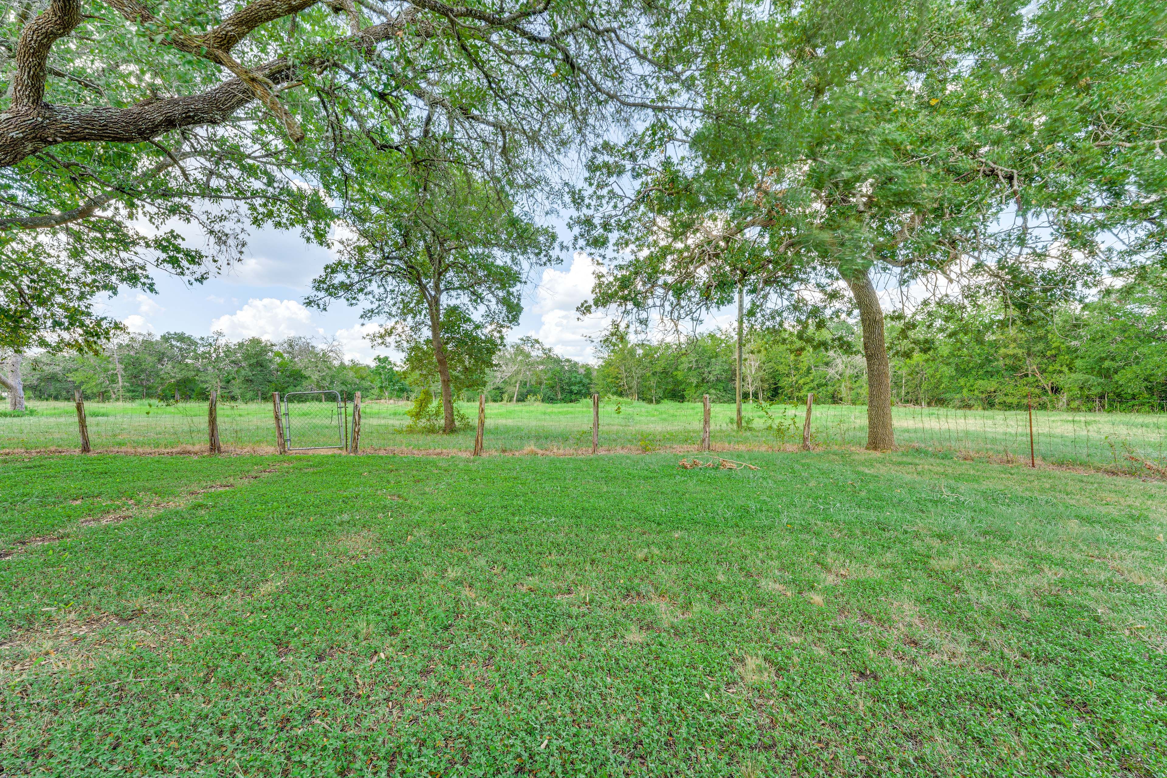 Private Yard