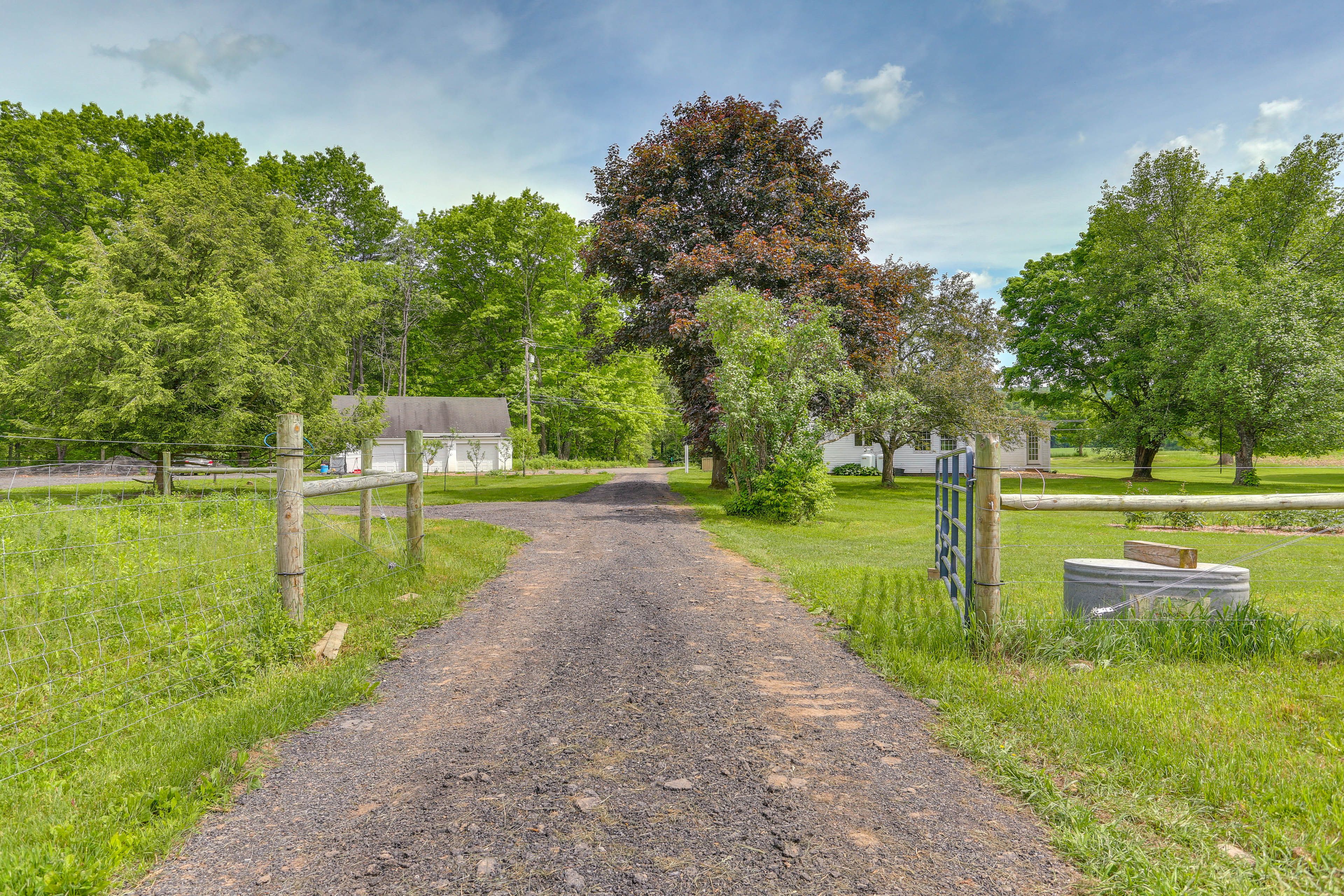 Image 41