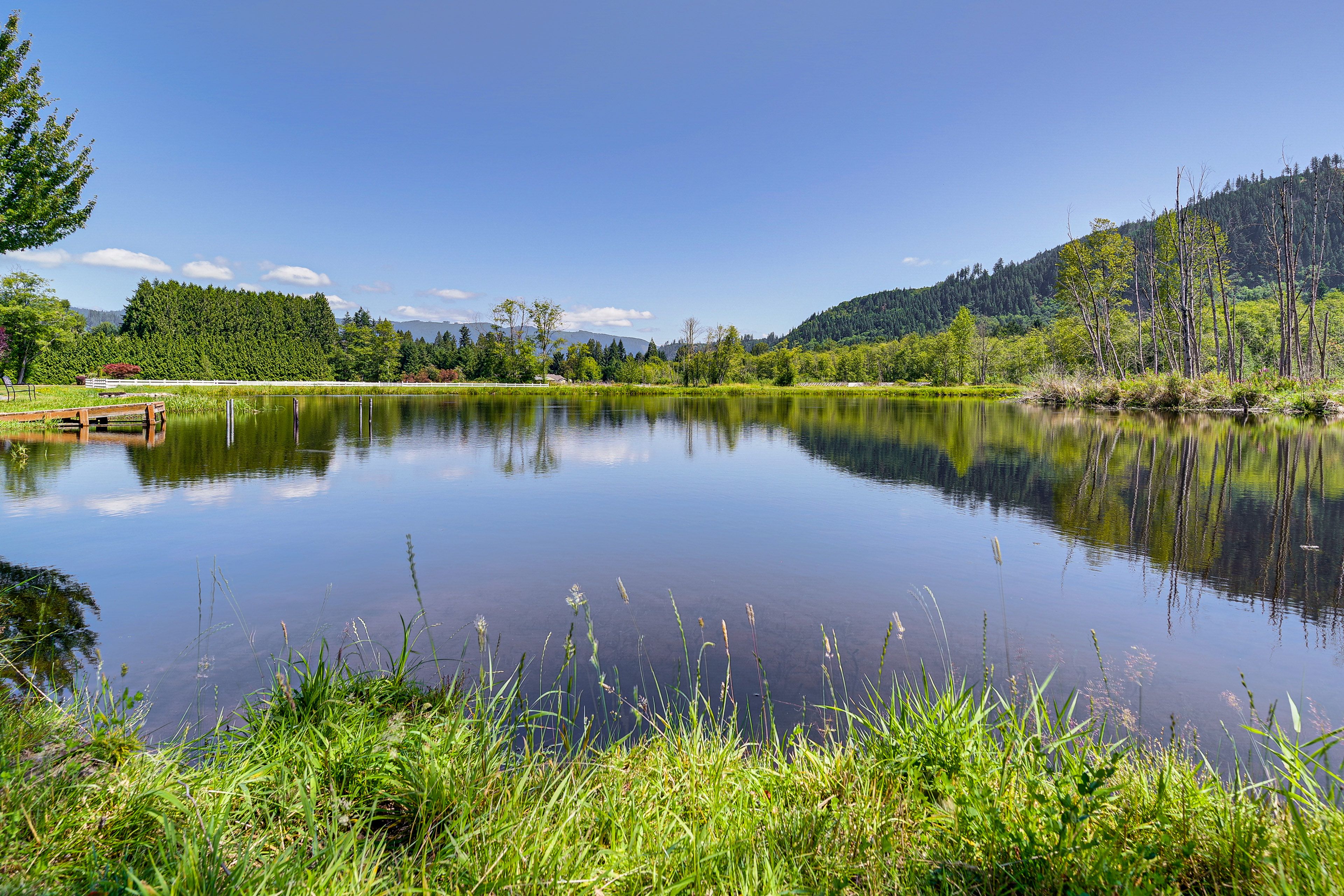 Private Pond | Dock