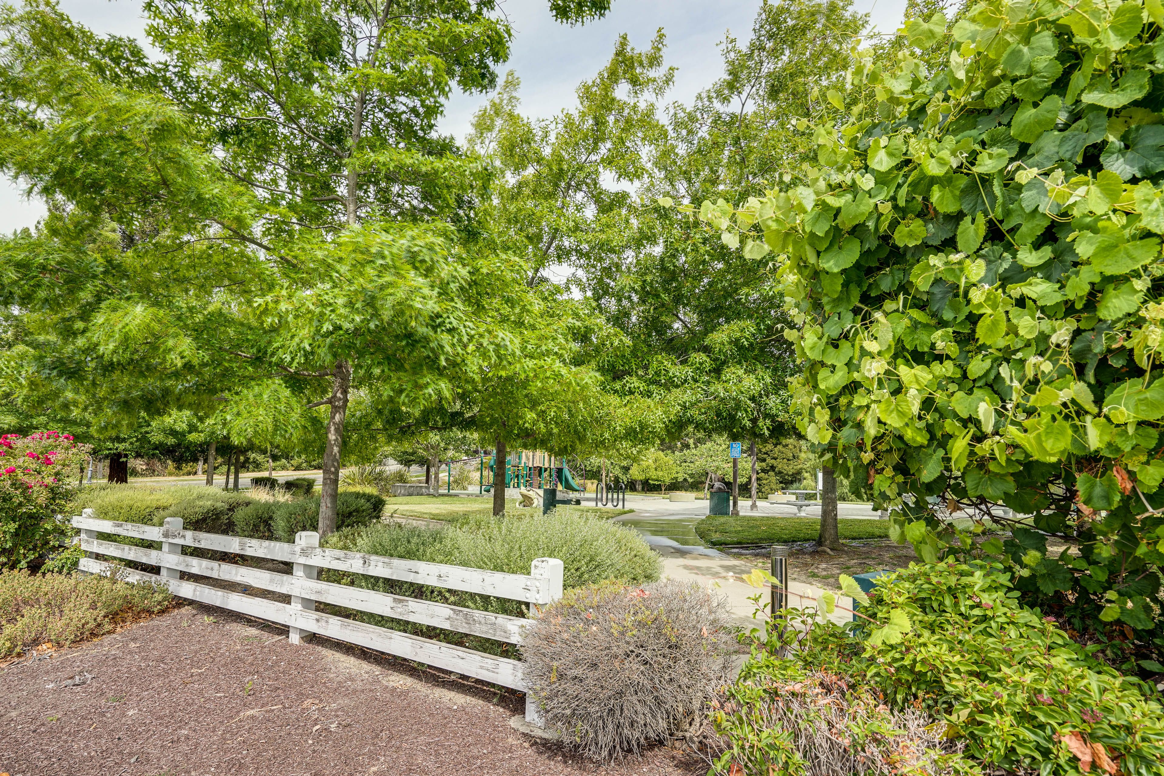 Neighborhood | Frog Pad Park