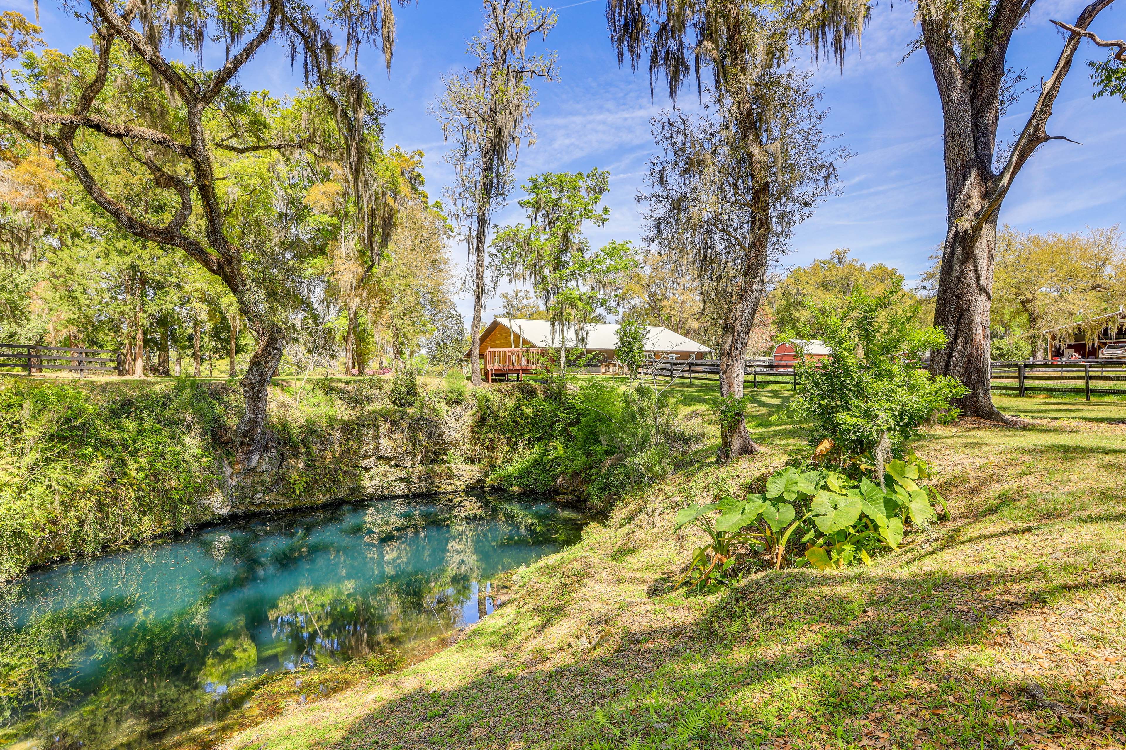 Pond On-Site